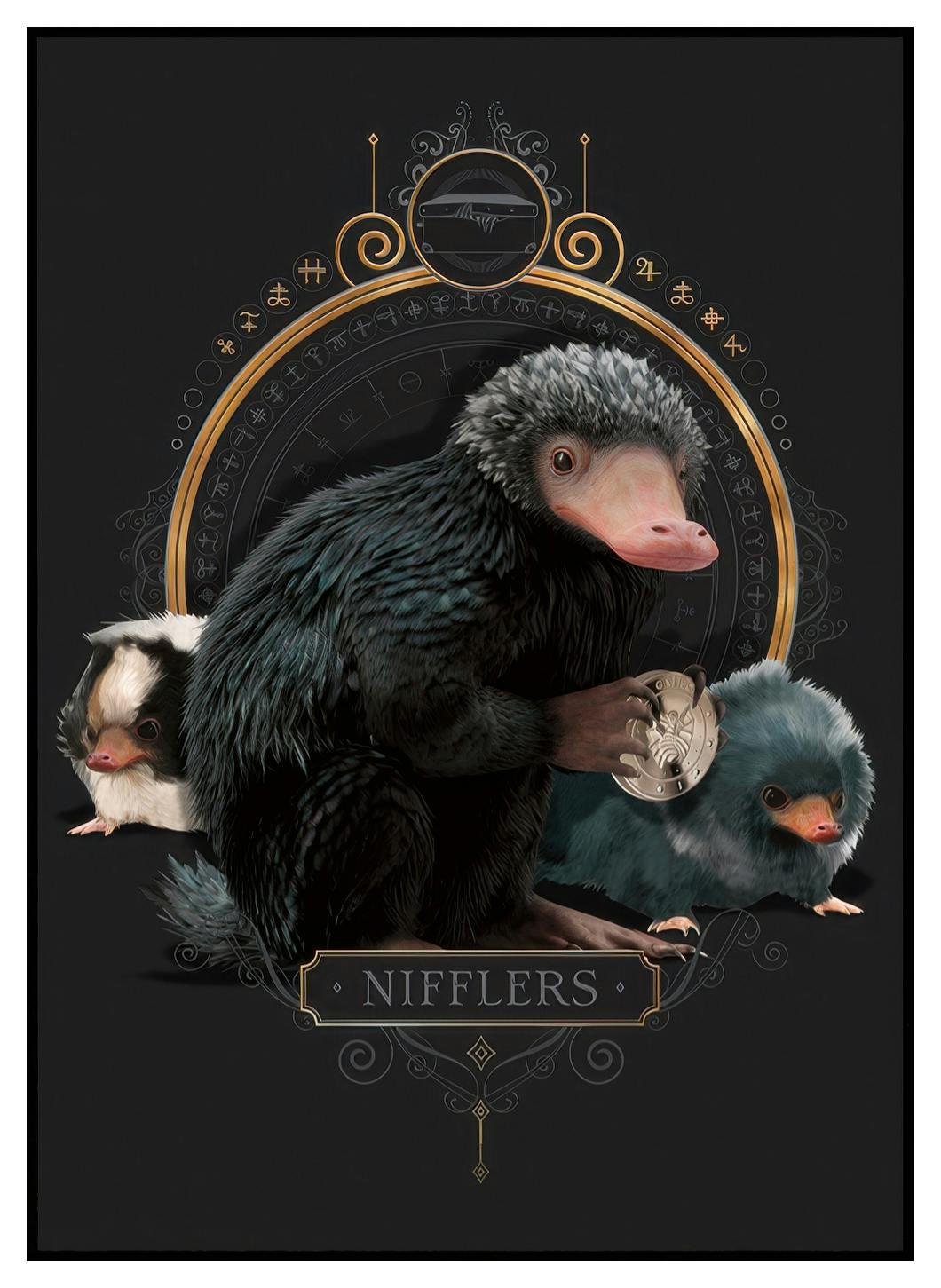 Prints Fantastic Beasts™ - Nifflers Poster (30x40 cm) - Poster Store