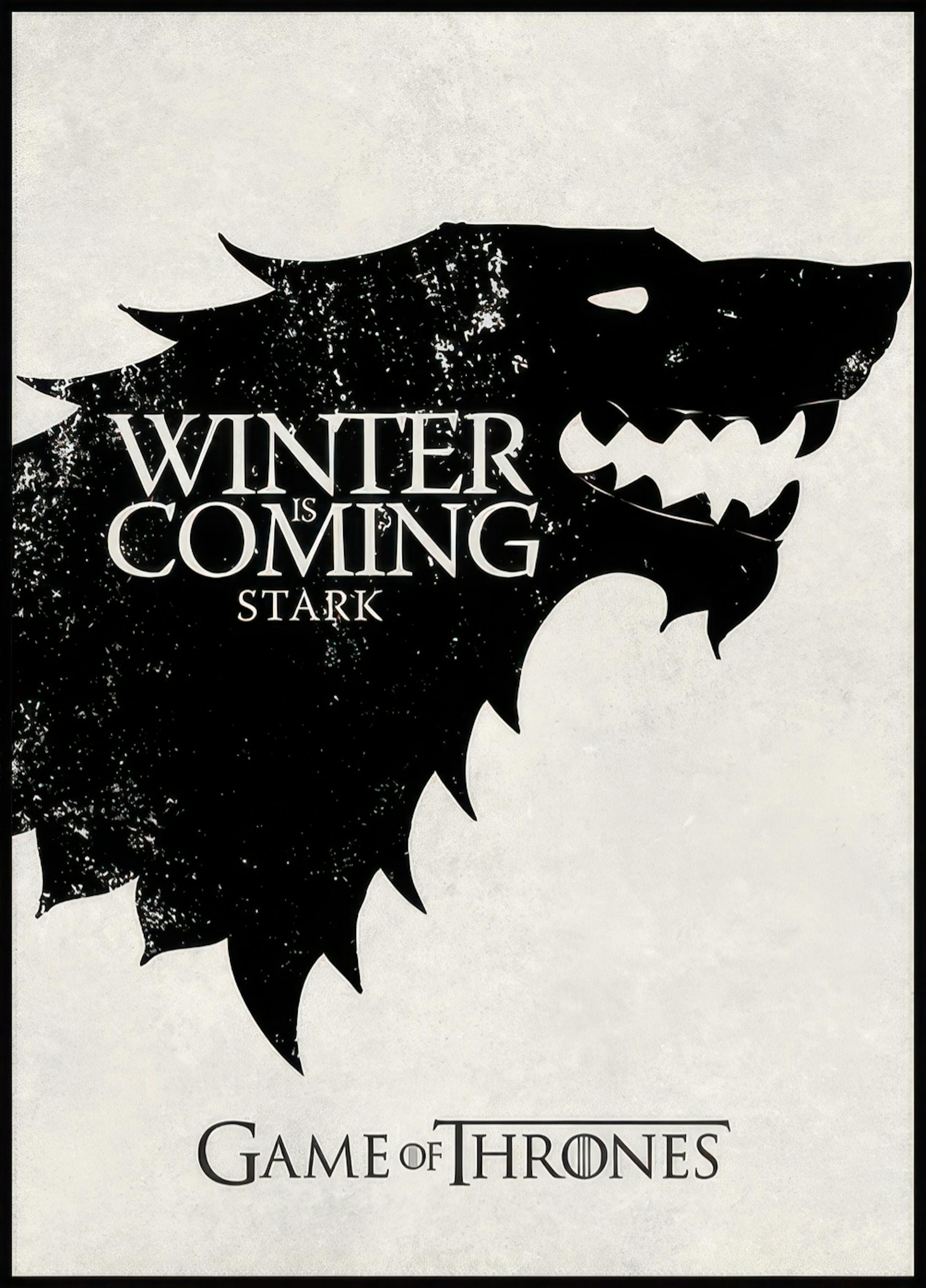 Game of Thrones™ - Winter is Coming Poster 0