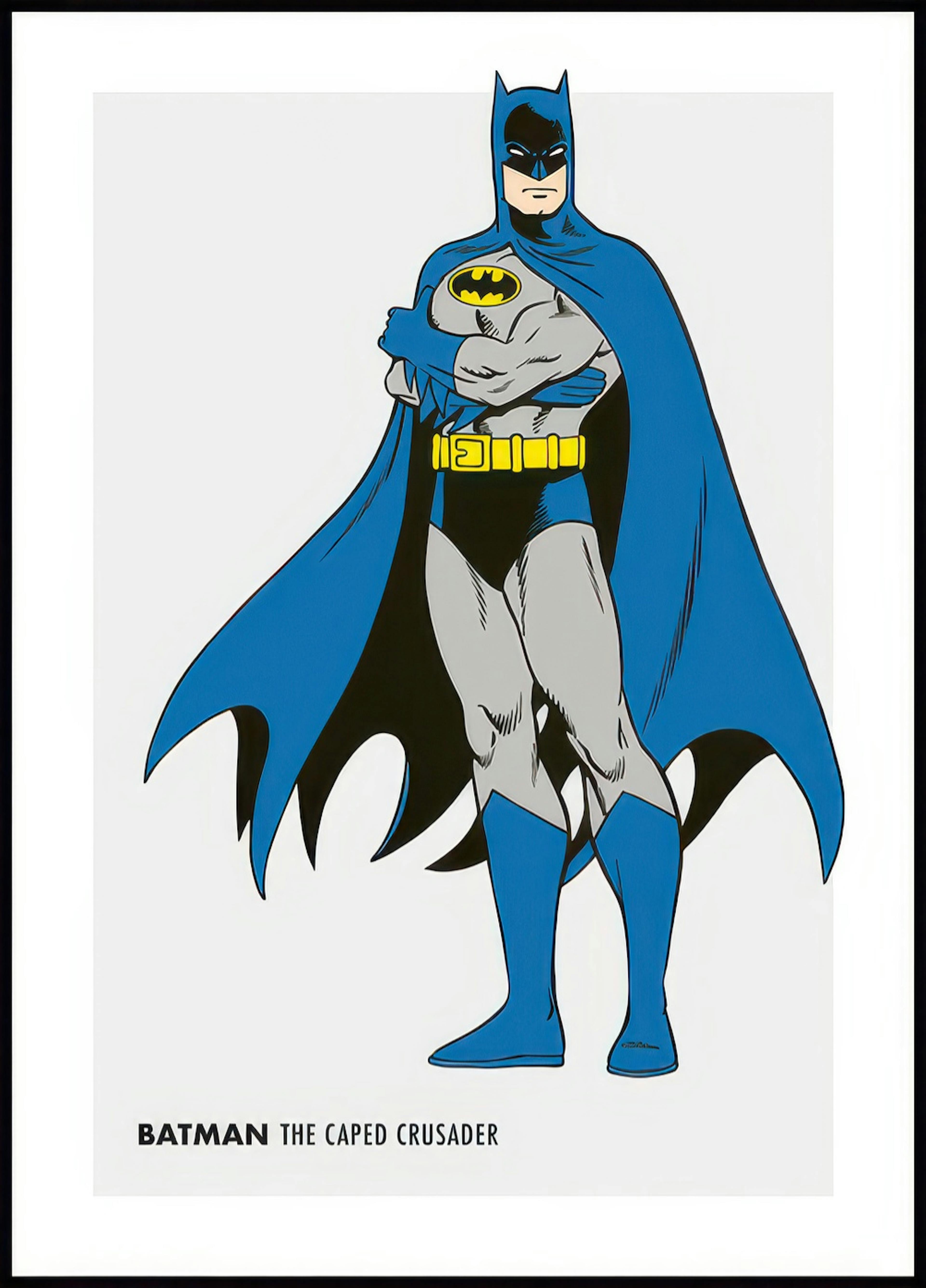 Batman™ - Retro Poster 0