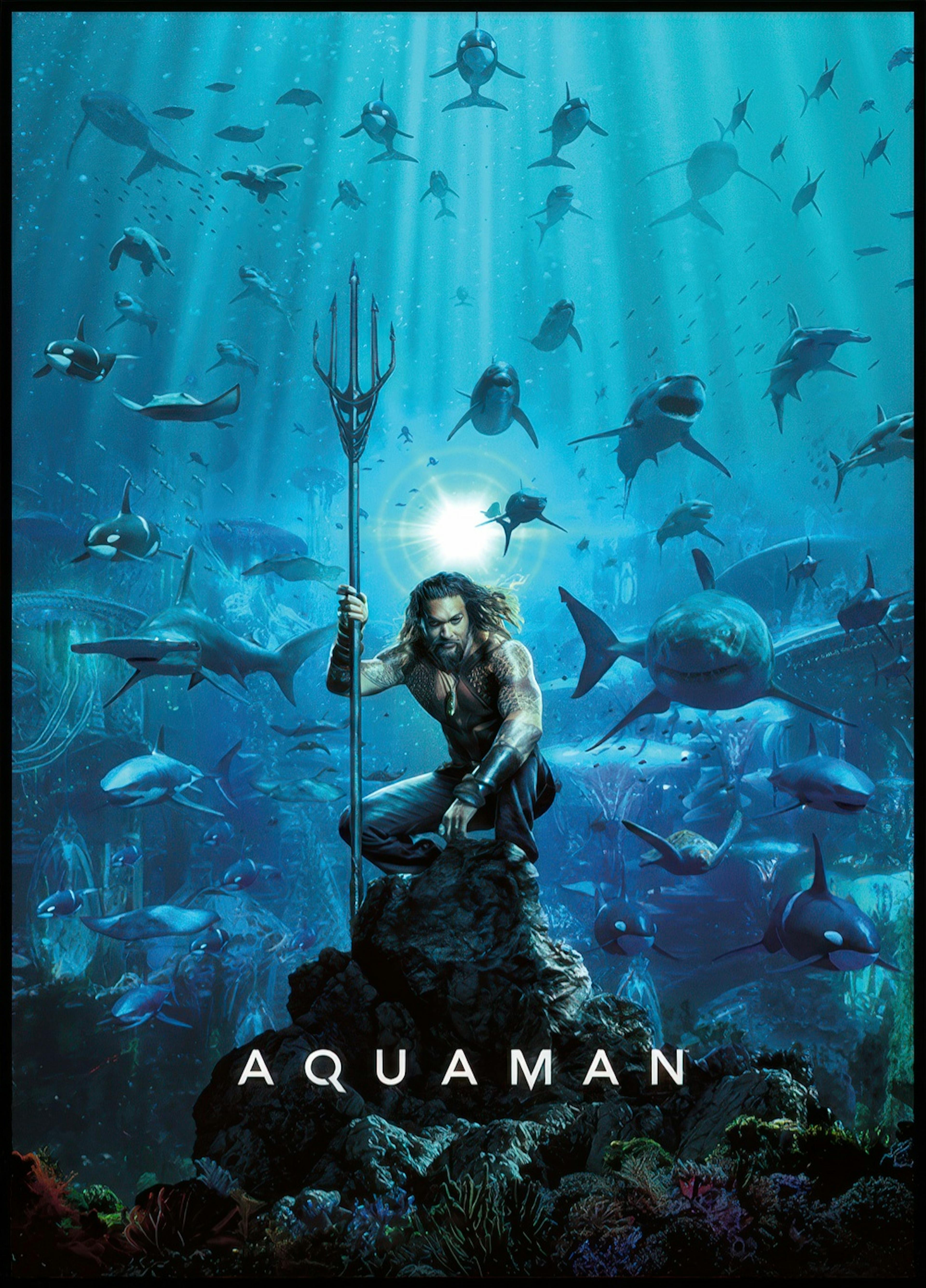 Aquaman™ - Home Is Calling Poster 0