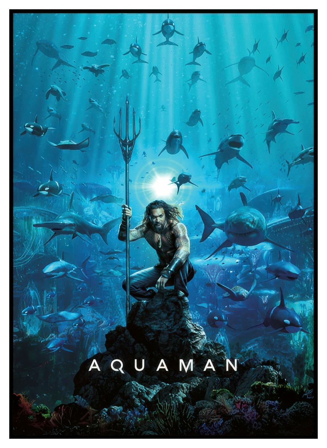 Aquaman™ - Home Is Calling Poster (50x70 cm) - Poster Store