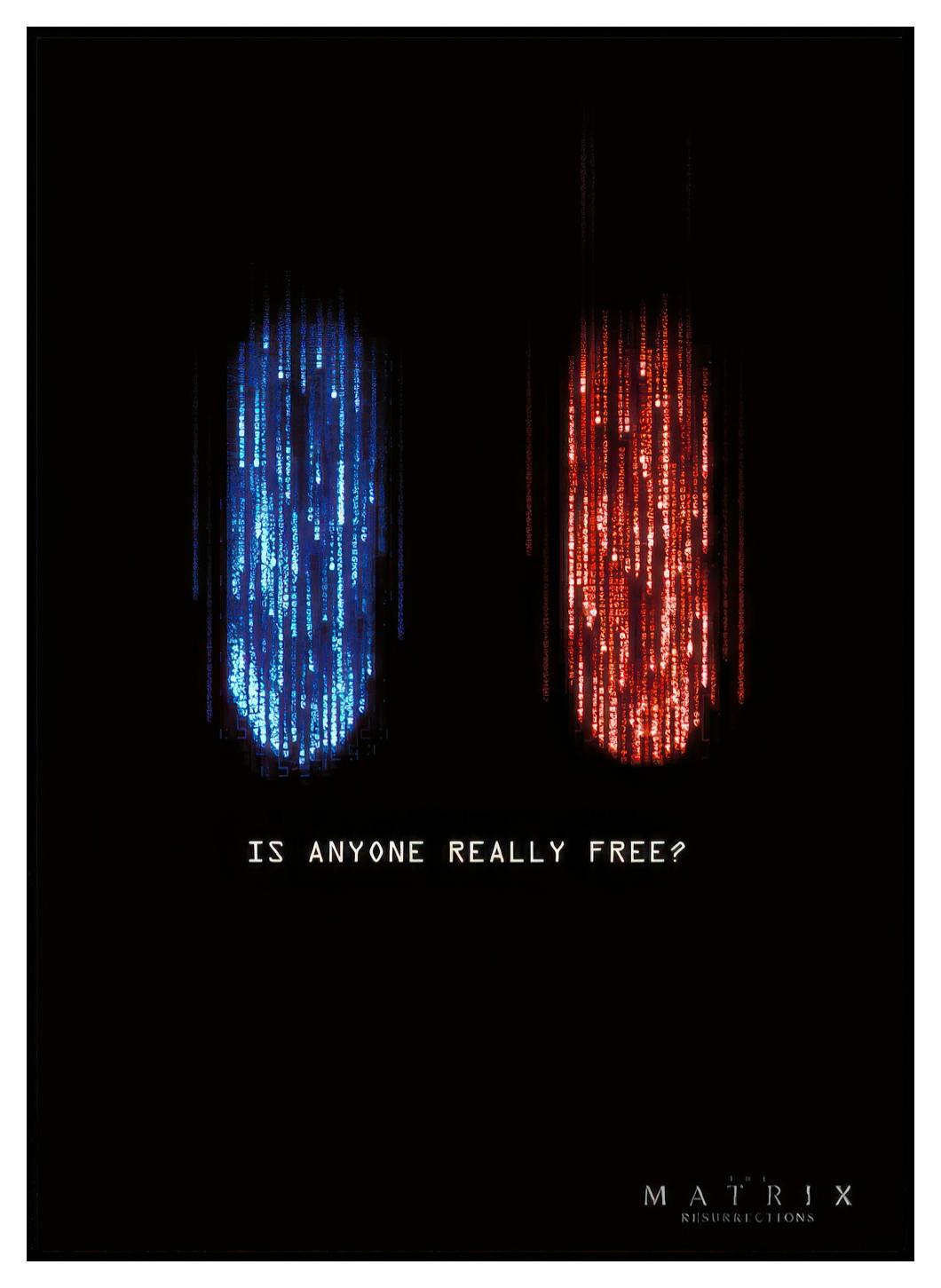 Matrix™ - Red Pill or Blue Pill Poster (50x70 cm) - Poster Store