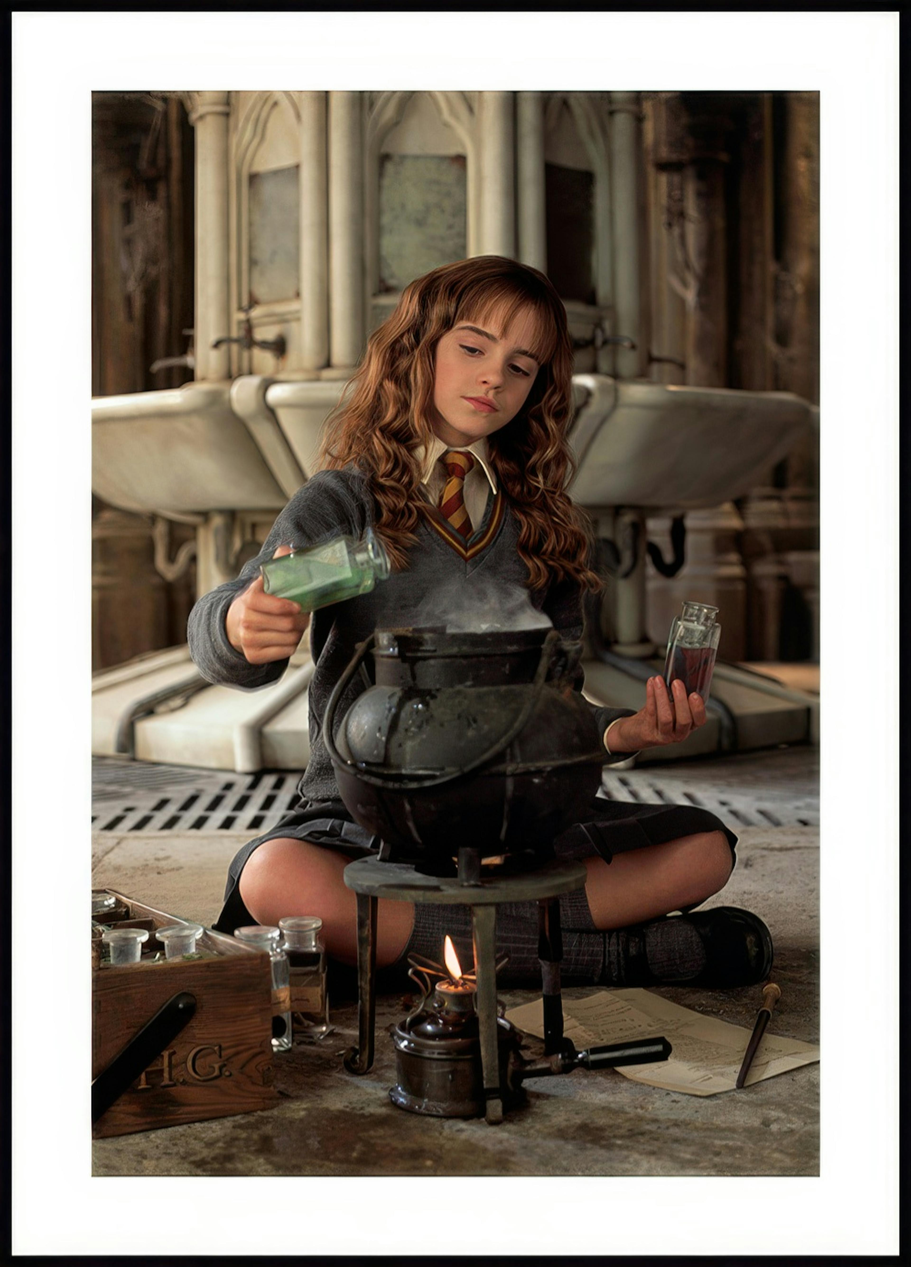 Harry Potter™ - Hermione Plakát 0