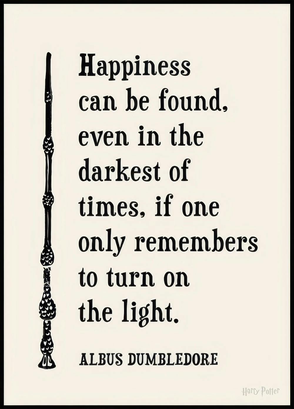 Harry Potter™ - Happiness Can Be Found Poster 0