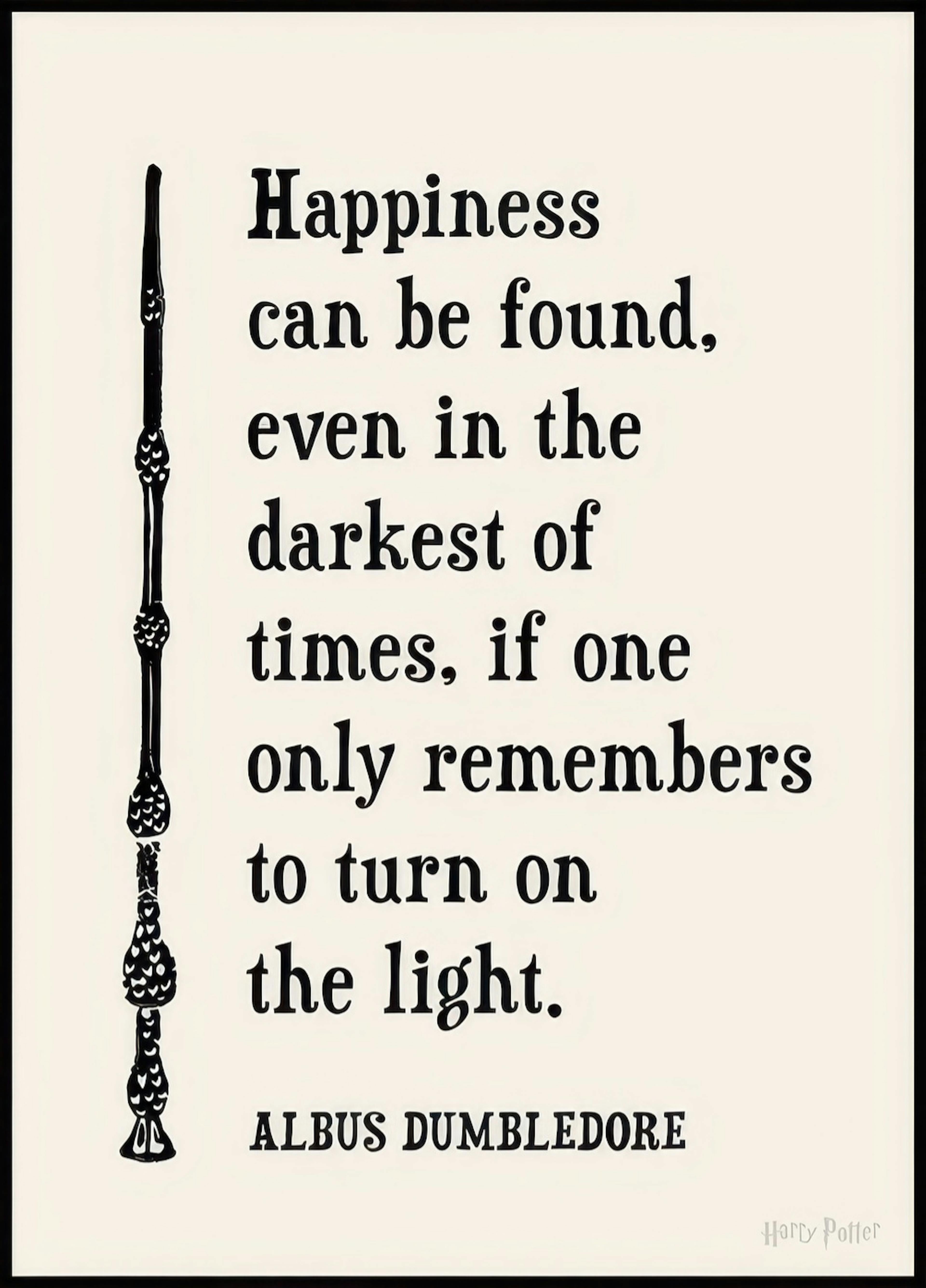 Harry Potter™ - Happiness Can Be Found Poster 0