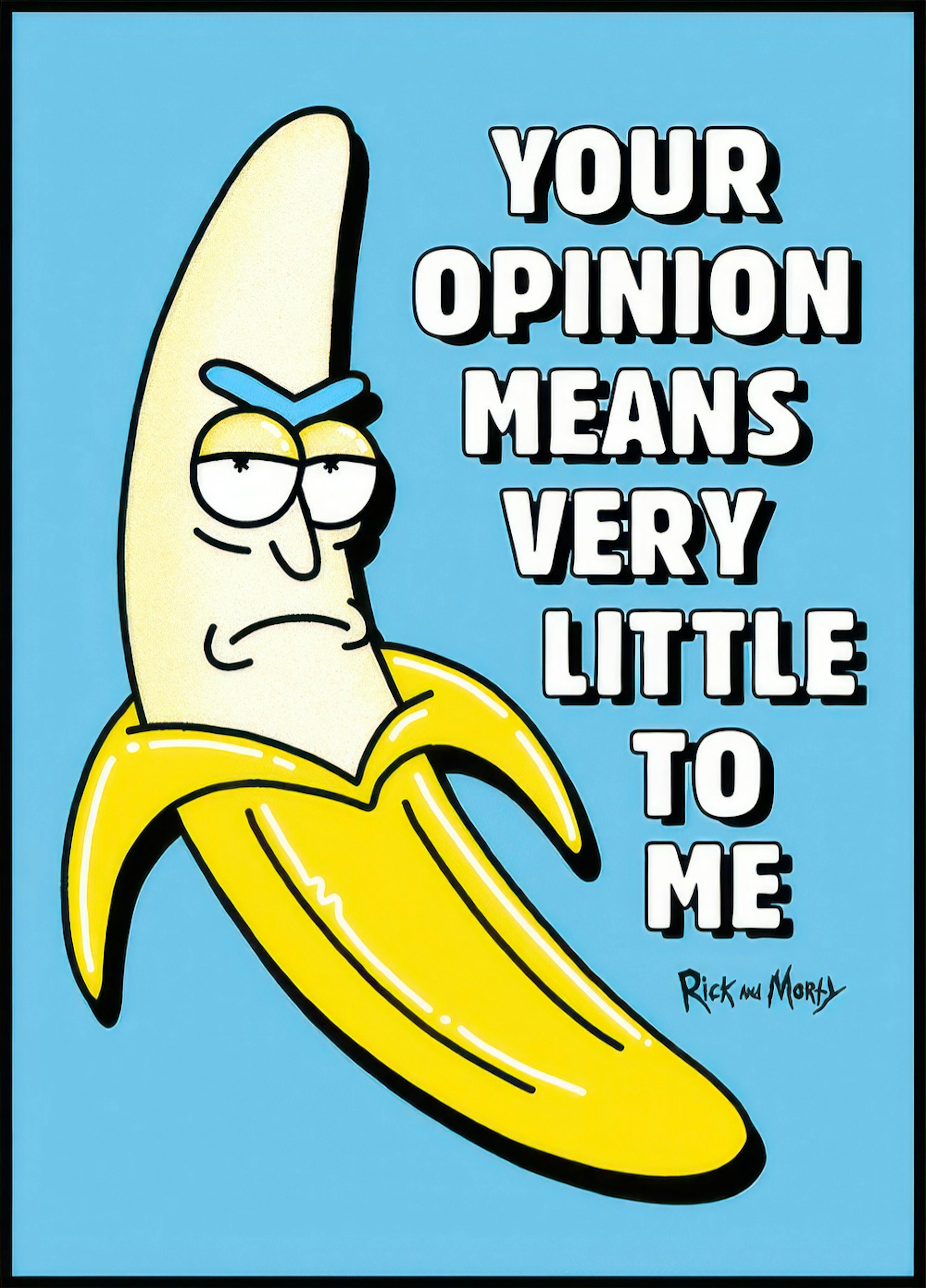 Rick and Morty™ Your Opinion Poster 0