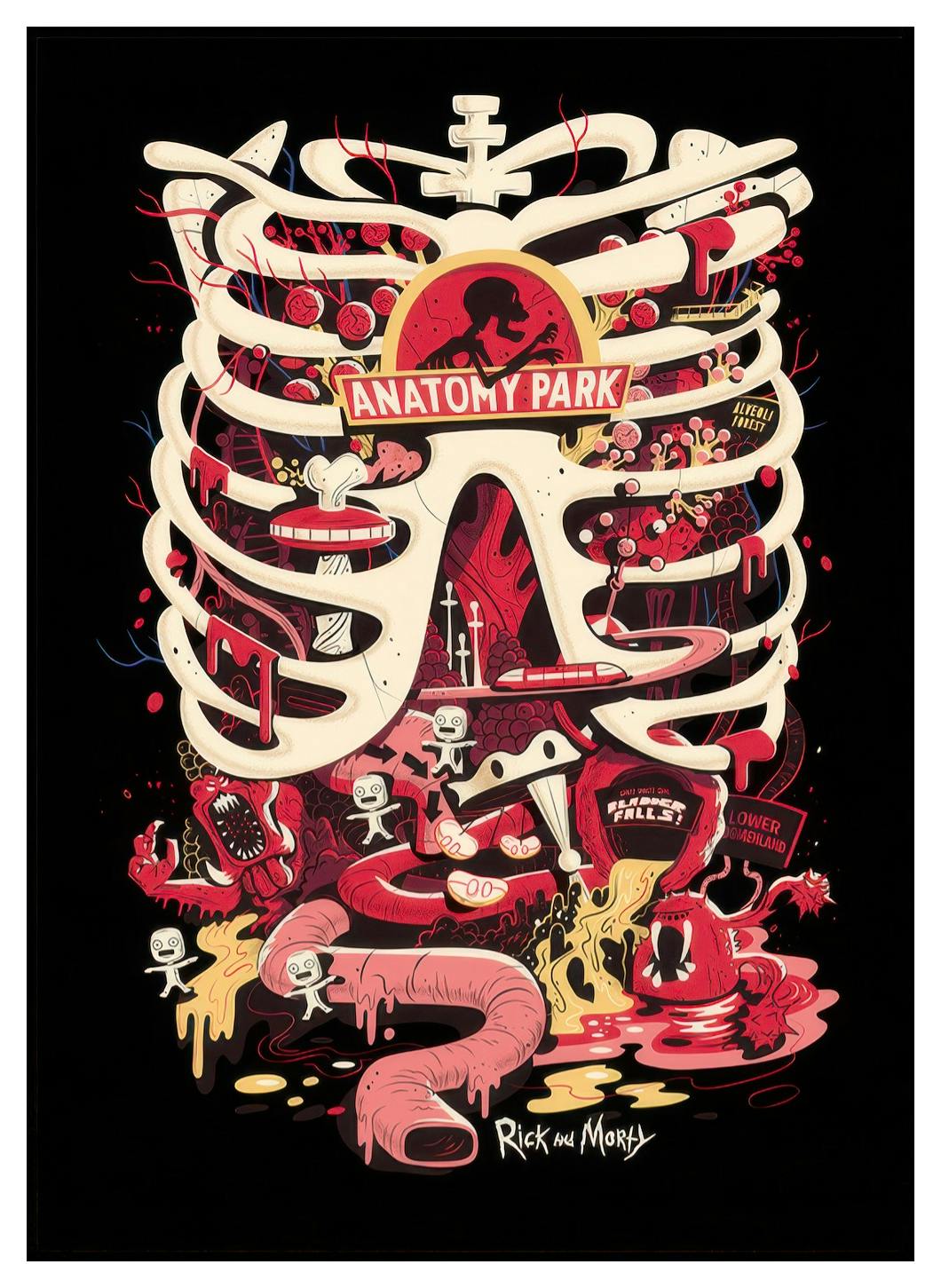 Rick and Morty™ Anatomy Park Affiche (50x70 cm) - Poster Store