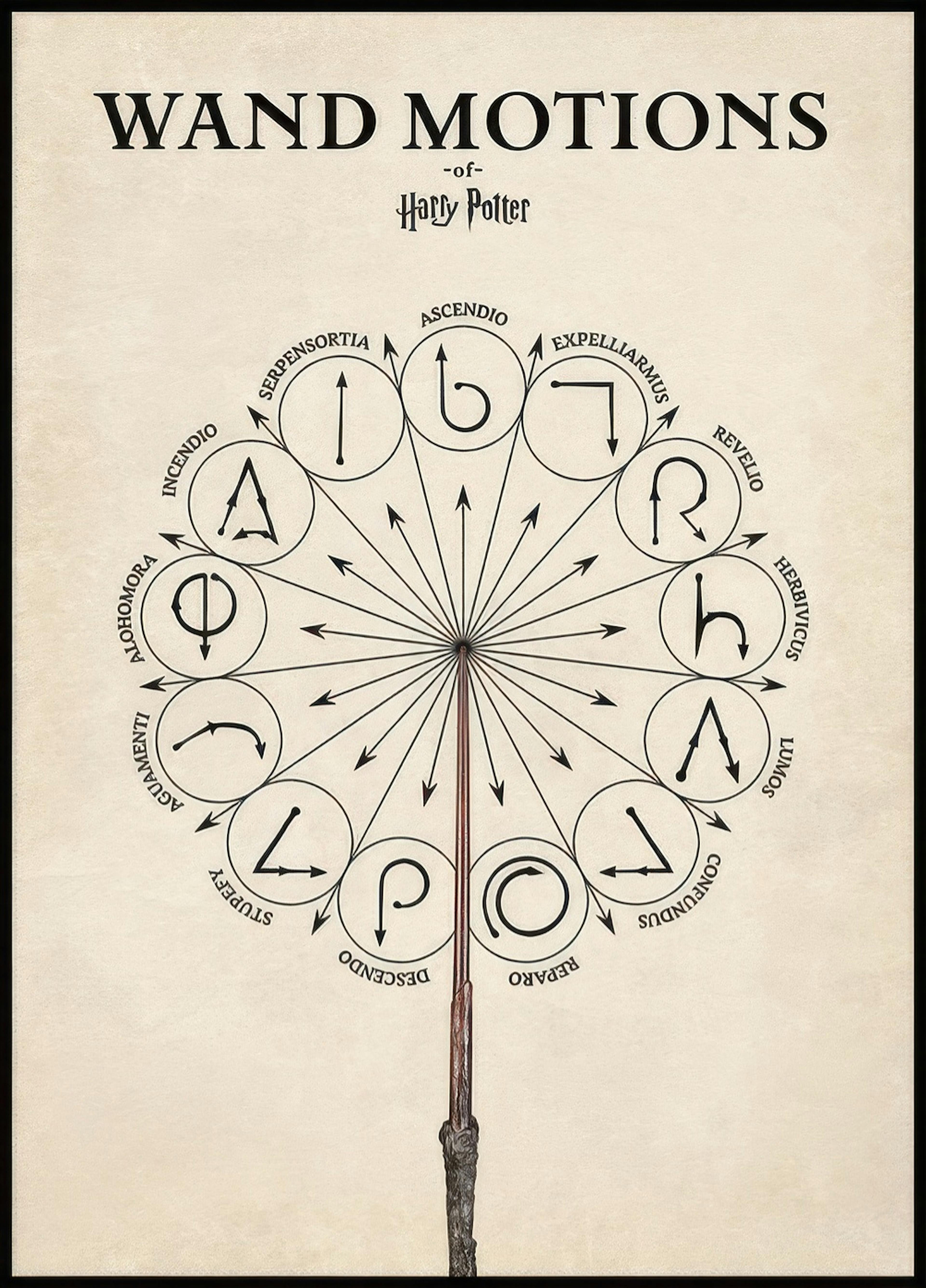 Harry Potter™ - Wand Motions Plakát 0