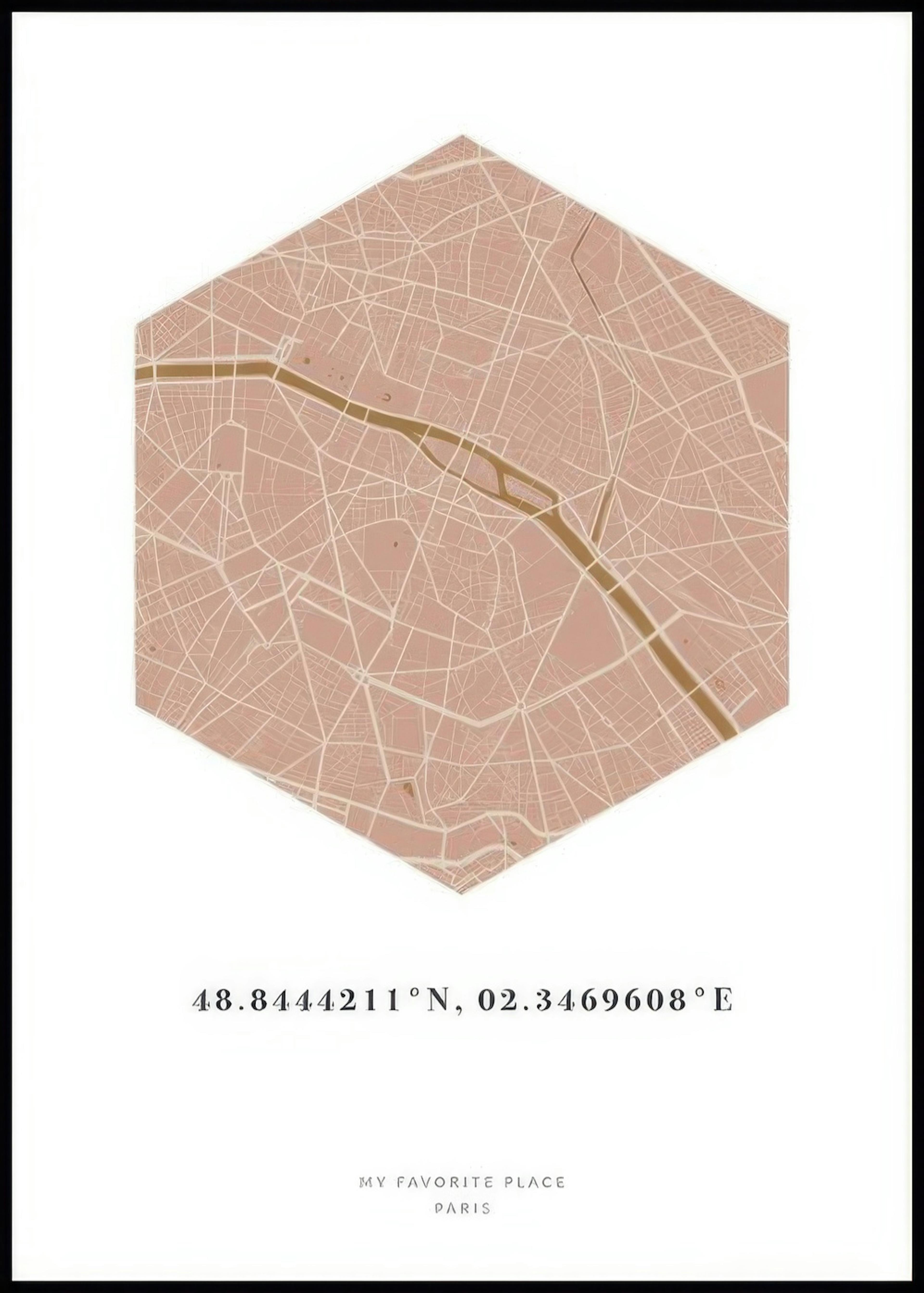 Hexagon Map Pink Mustard Personal Poster 0