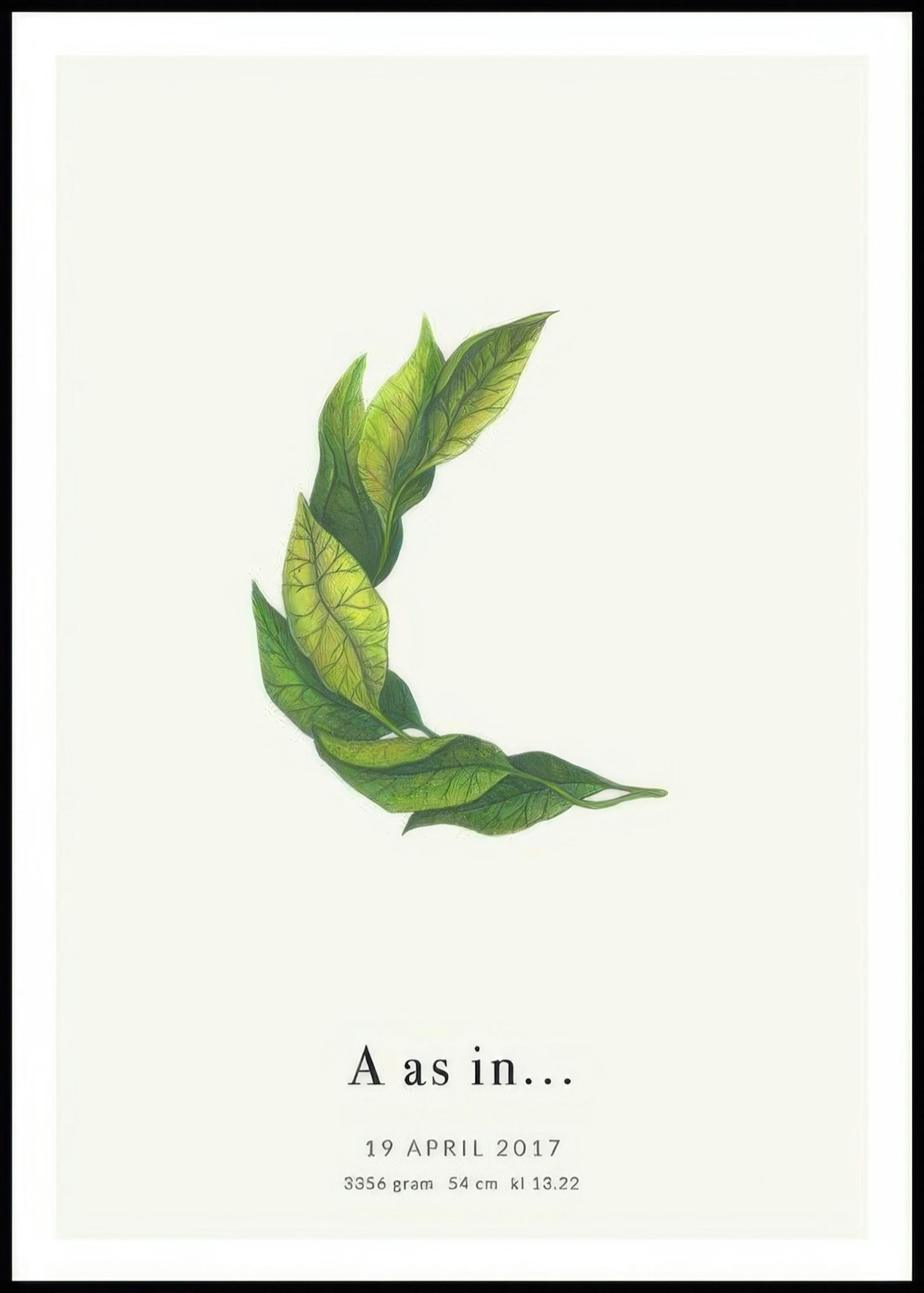 Botanische letter C persoonlijke poster 0