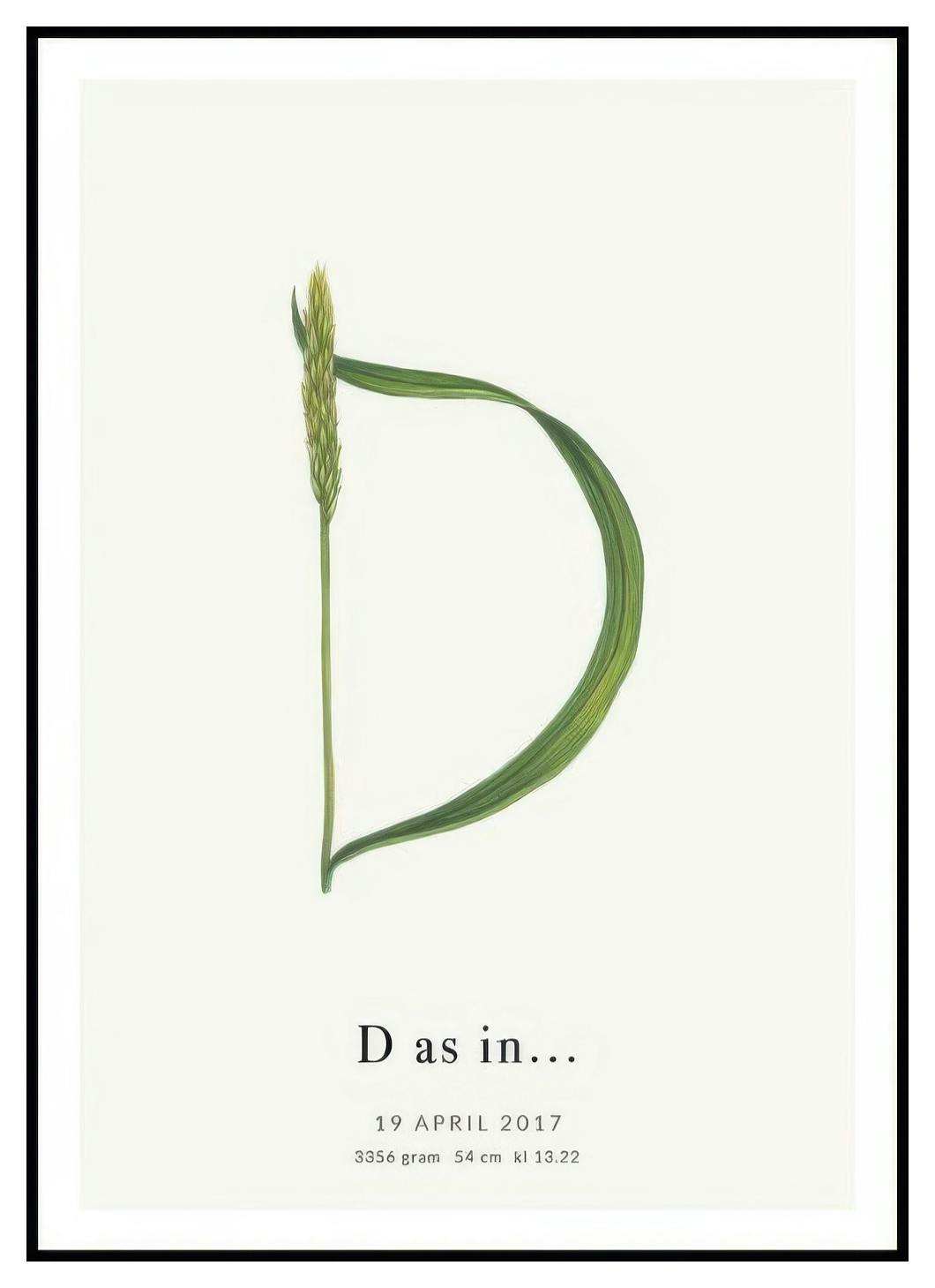 Litera Botaniczna D Plakat Personalizowany (50x70 cm) - Poster Store