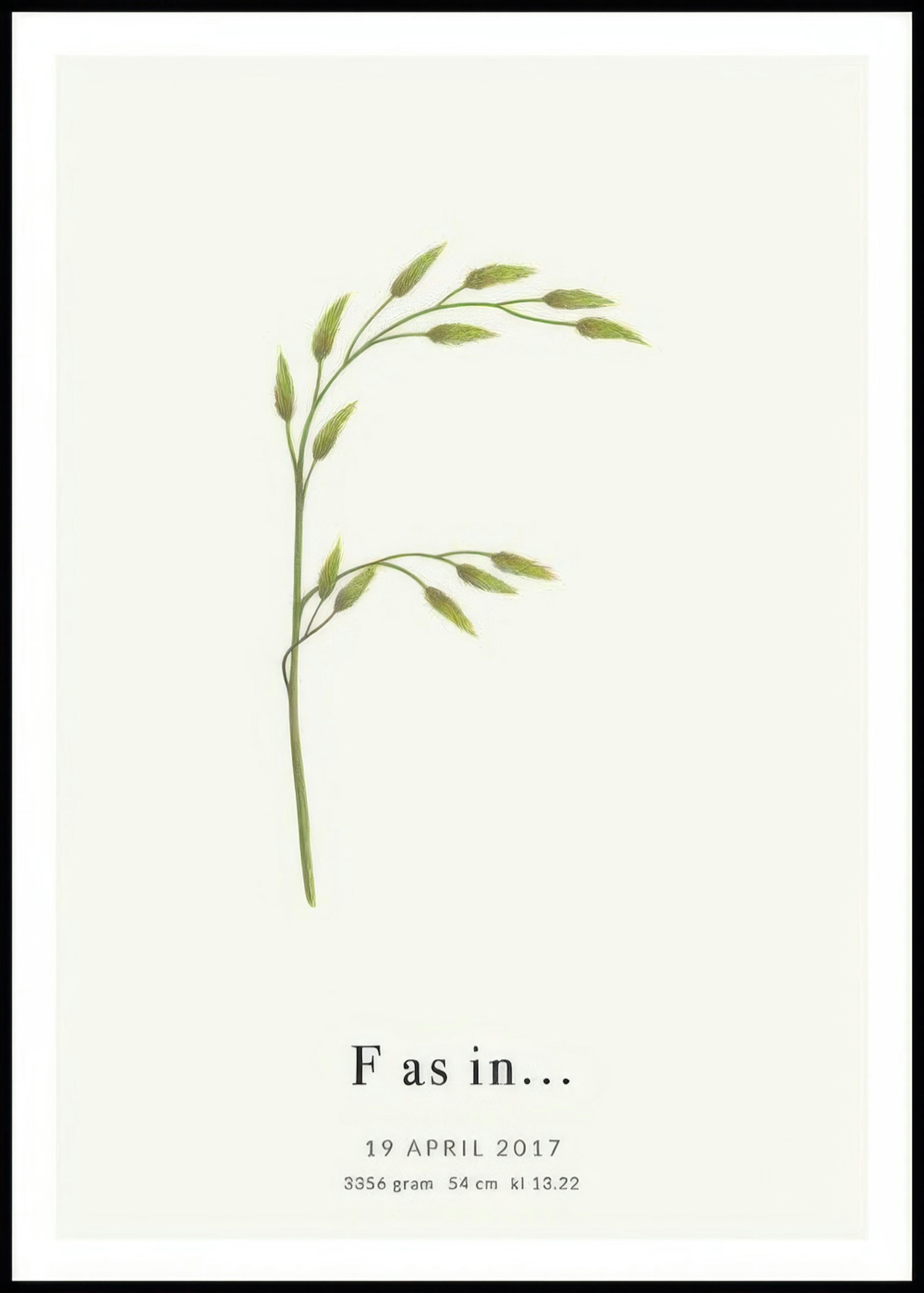 Botanic Letter F Personal Poster 0