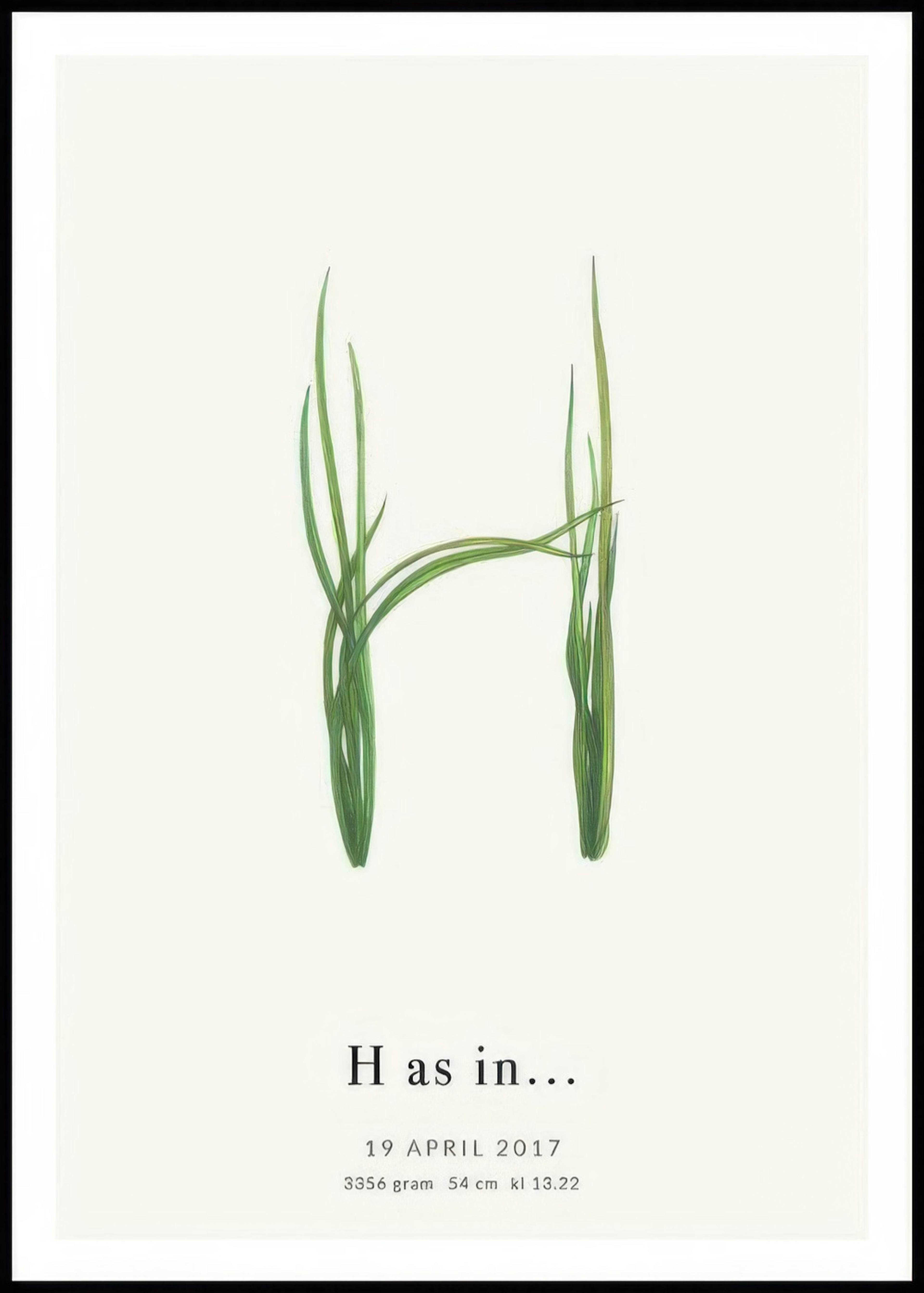Botanic Letter H Personal Poster 0