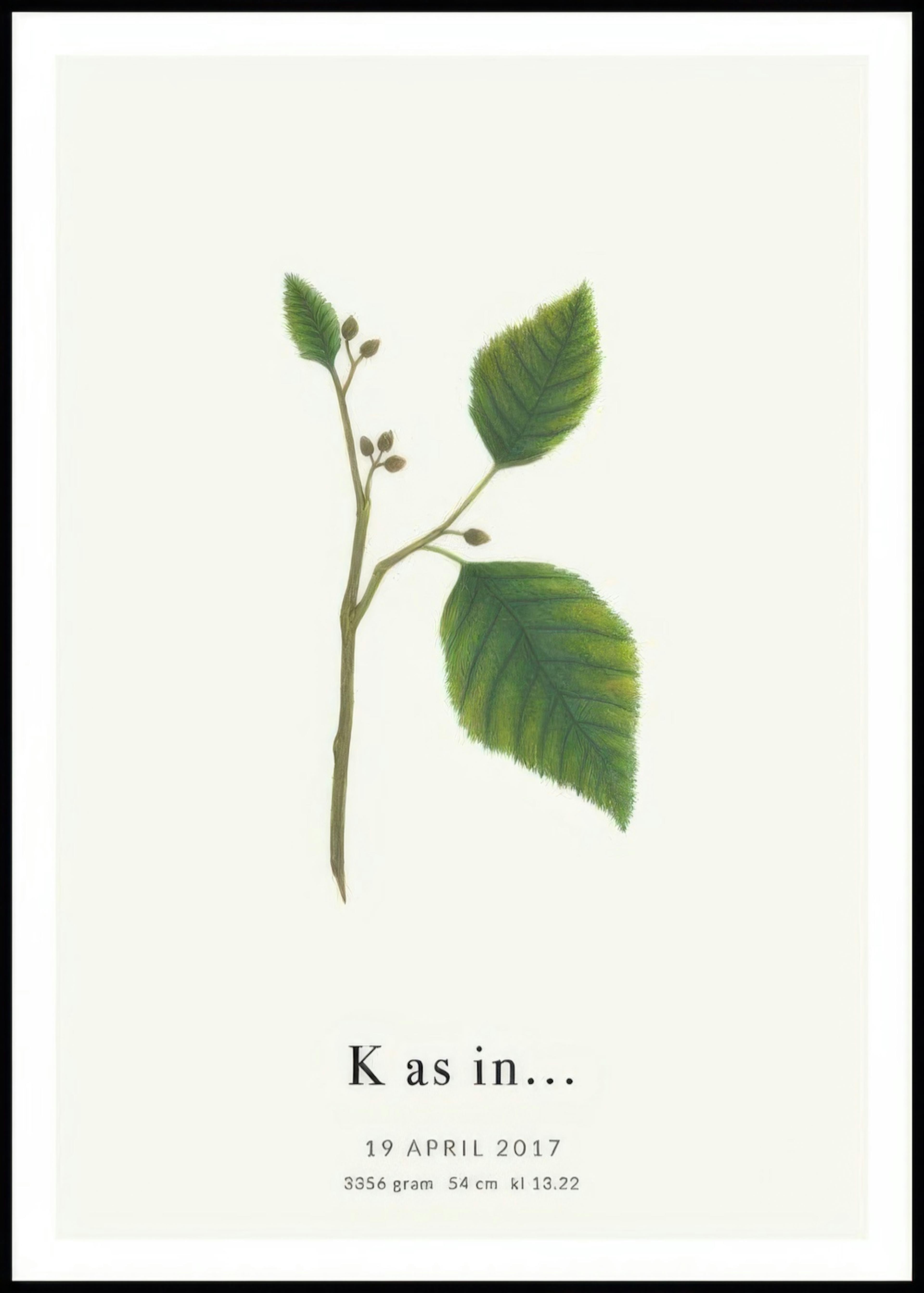 Botanic Letter K Personal Poster 0