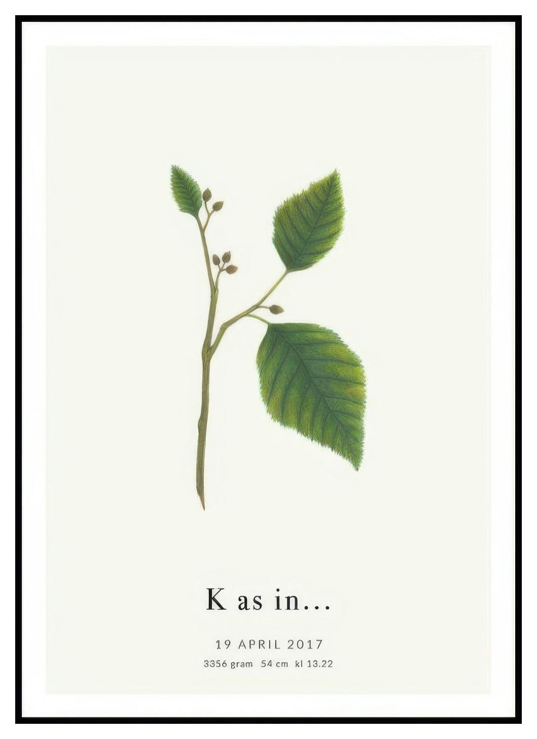 Litera Botaniczna K Plakat Personalizowany (50x70 cm) - Poster Store