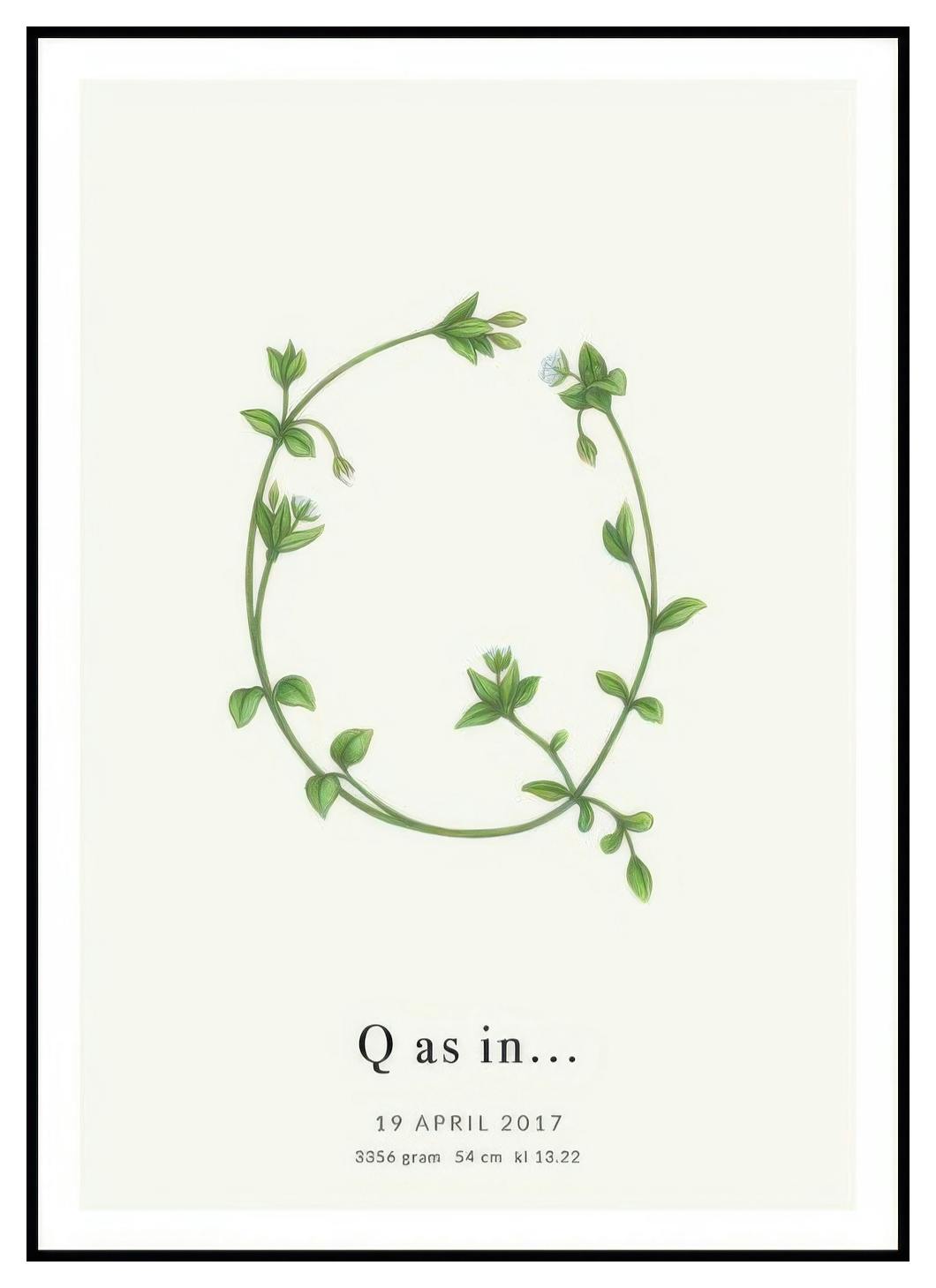 Lettre Botanique Q Poster Personnalisé (50x70 cm) - Poster Store