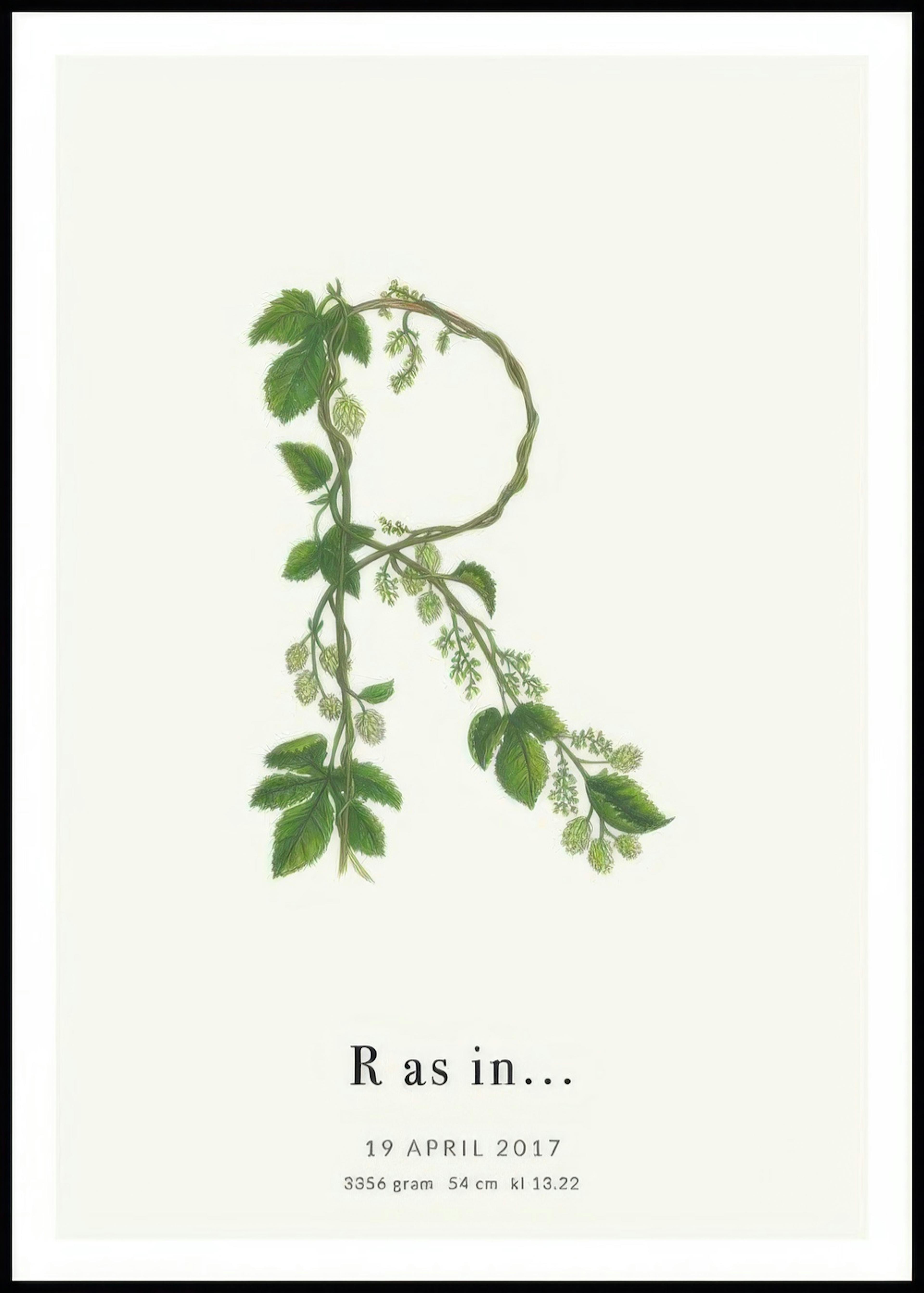 Botanic Letter R Personal Poster 0