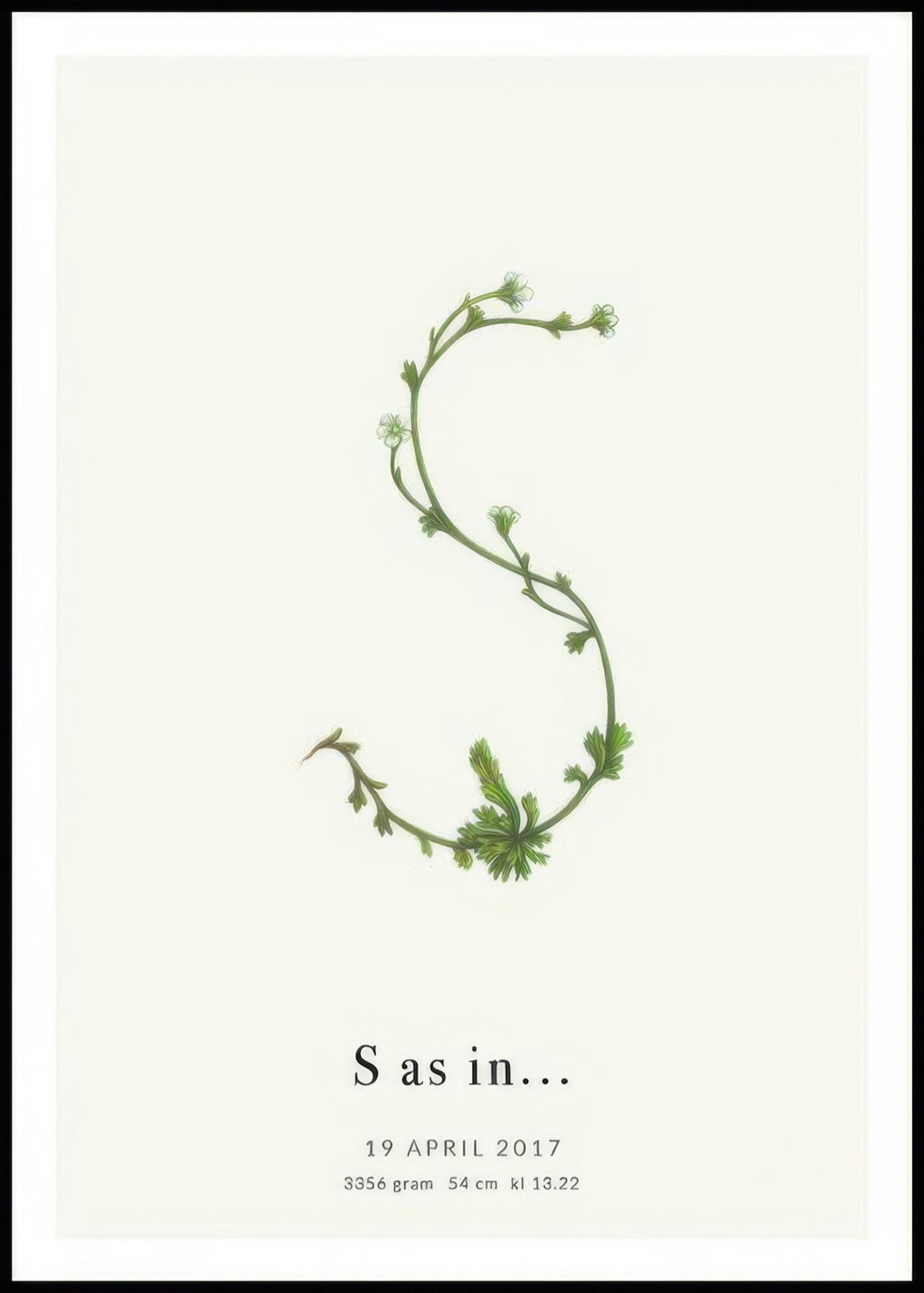 Botanic Letter S Personal Poster 0