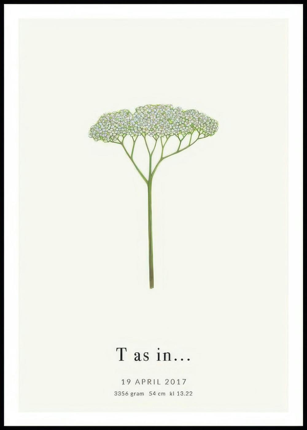 A personalised poster featuring a delicate illustration of a white flowering plant with green stems on a light background, with