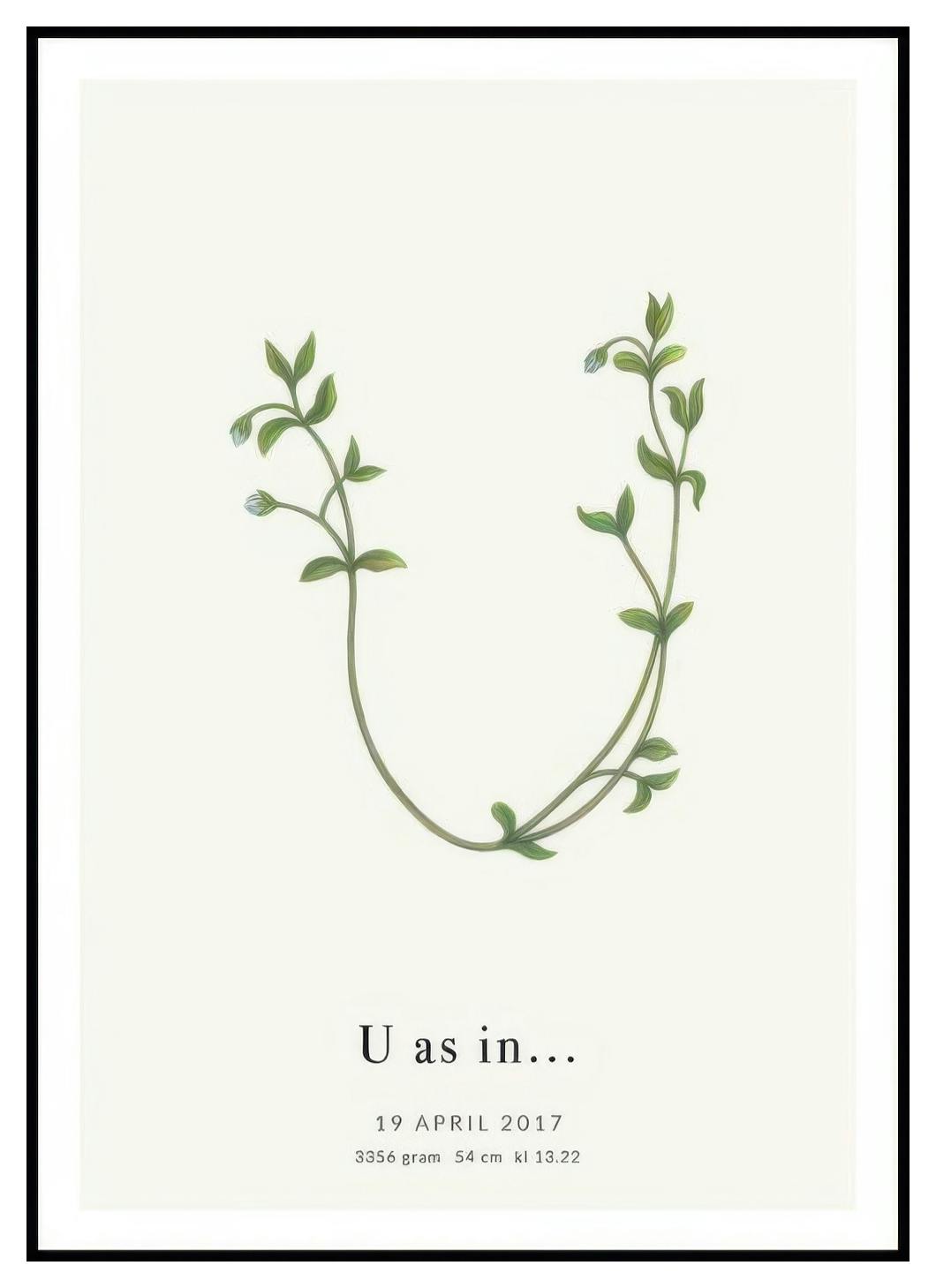 Botanisk Bokstav U Personlig Poster (50x70 cm) - Poster Store