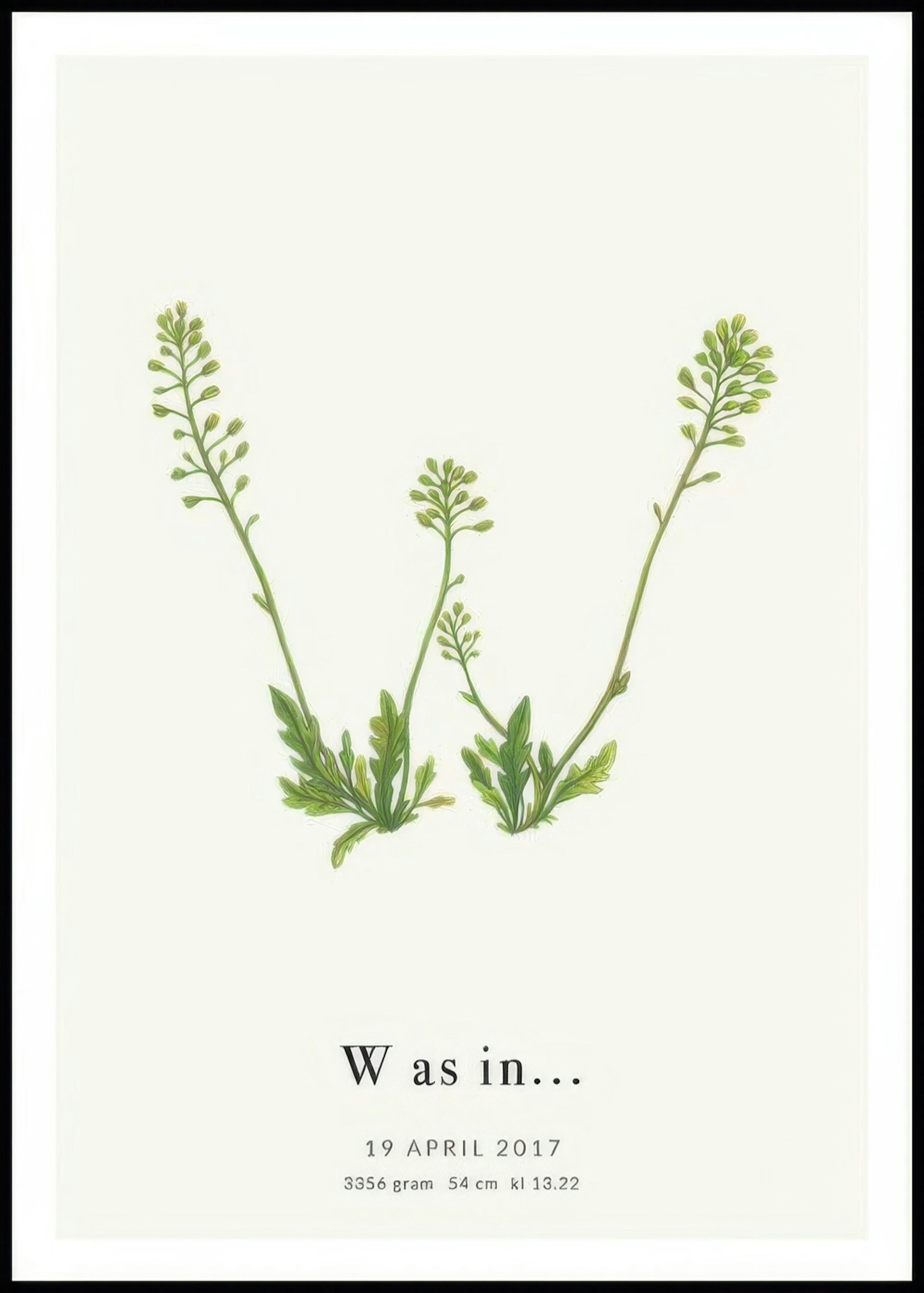 Botanische letter W persoonlijke poster 0