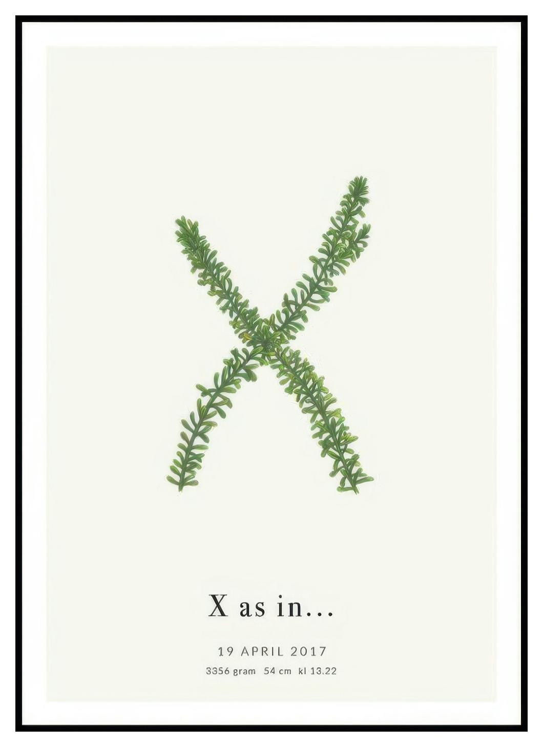 Lettre Botanique X Poster Personnalisé (30x40 cm) - Poster Store