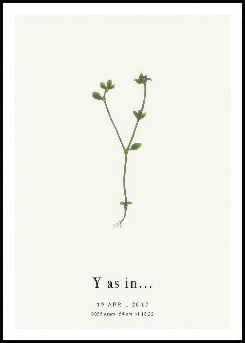 Een gepersonaliseerde poster met een delicate groene plantillustratie die lijkt op de letter Y, met daaronder aanpasbare tekst v