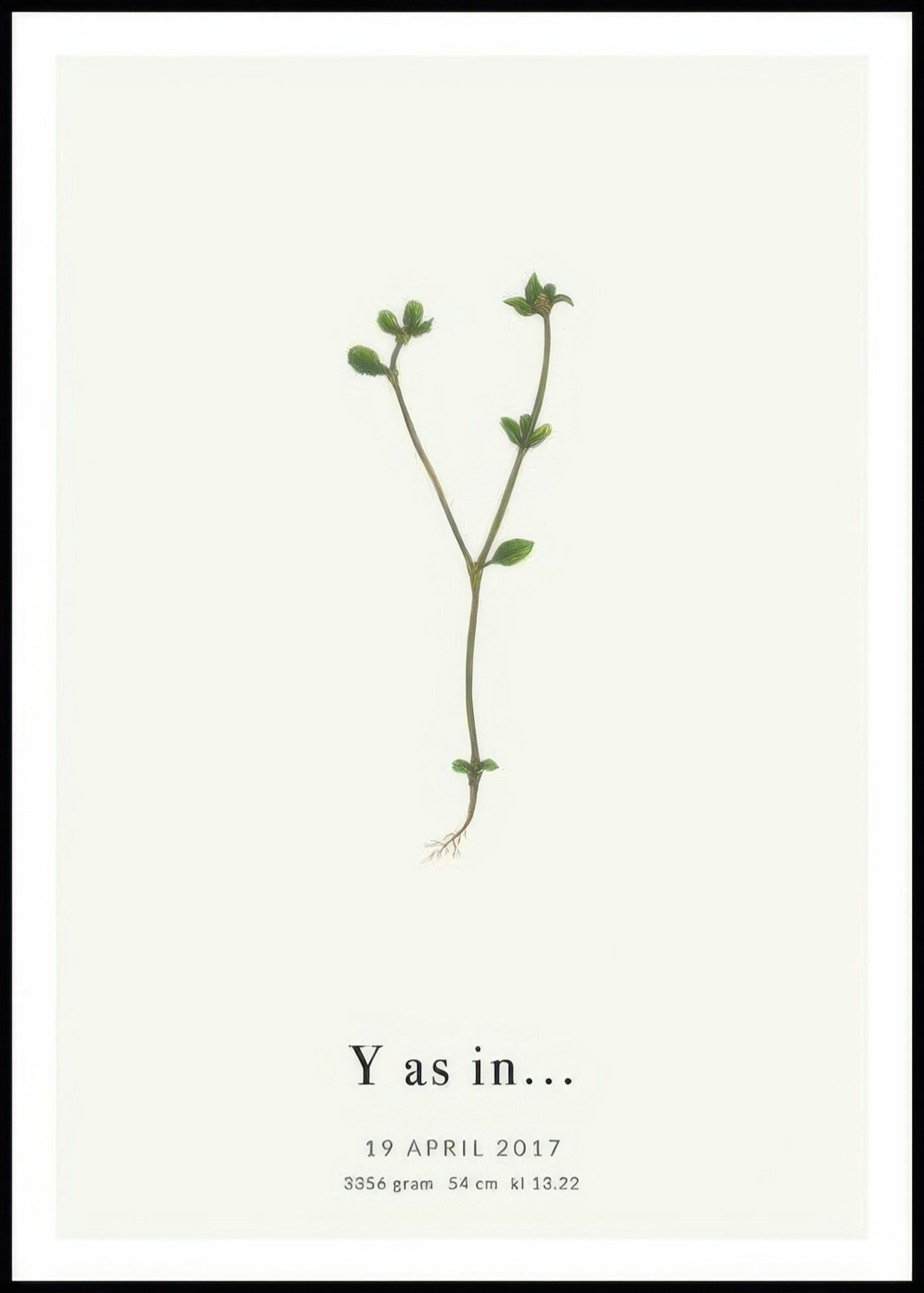 Botanische letter Y persoonlijke poster 0