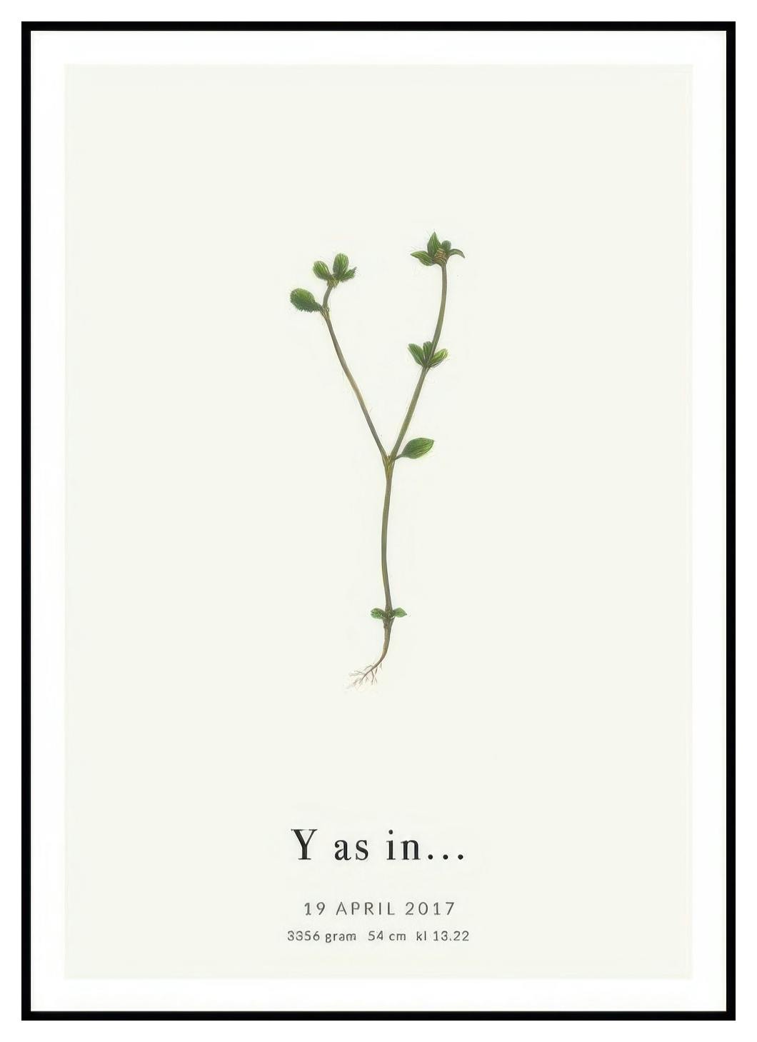 Botanischer Buchstabe Y Personalisiert Poster (50x70 cm) - Poster Store