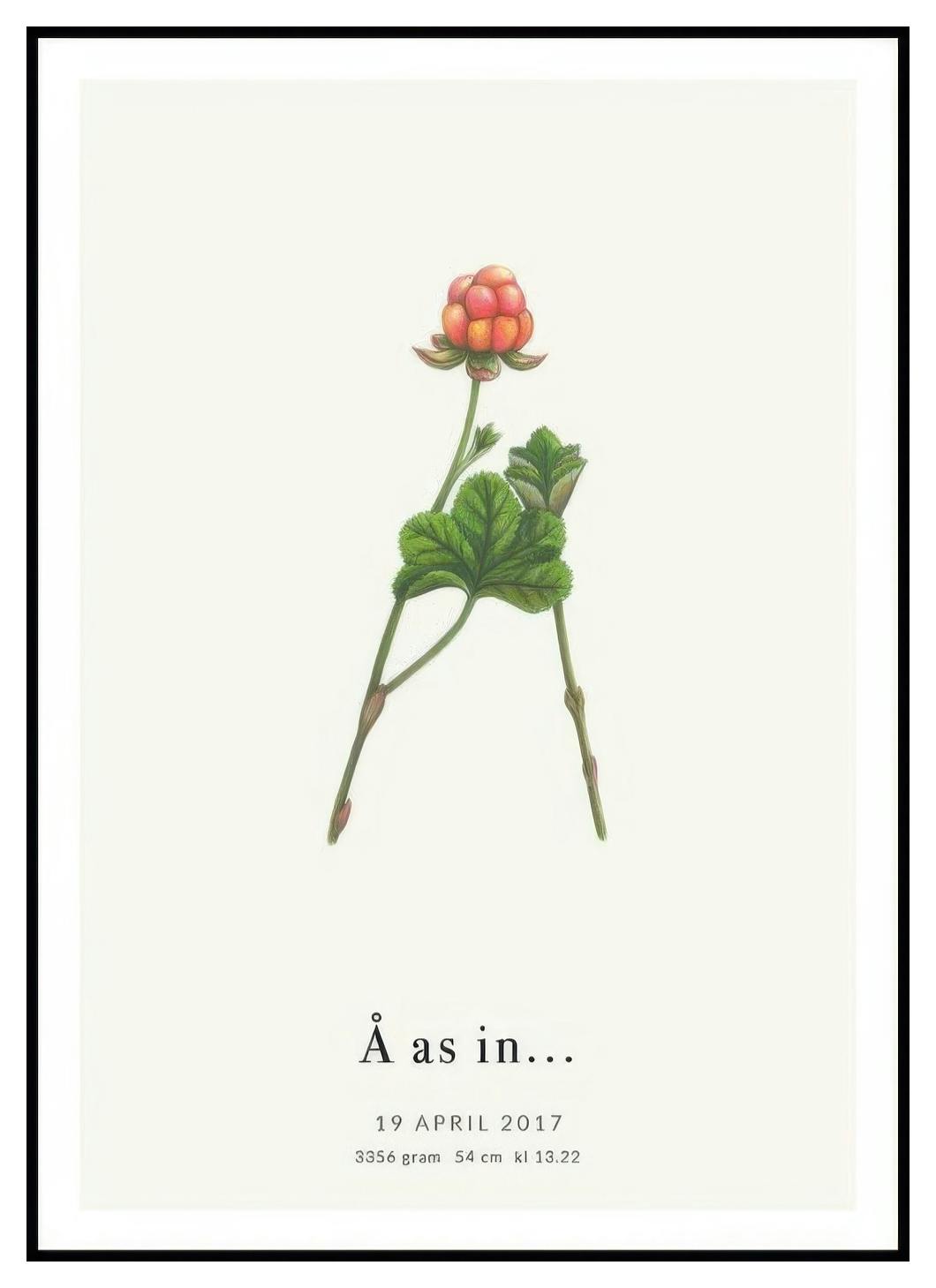 Botanischer Buchstabe Å Personalisiert Poster (50x70 cm) - Poster Store