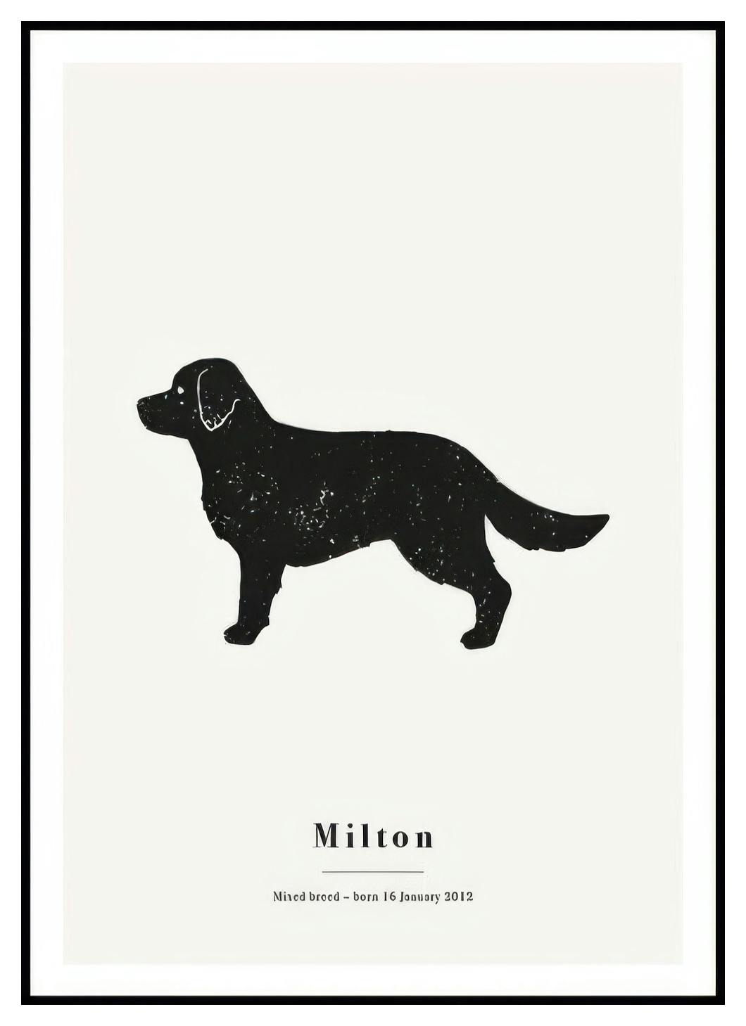 My Pet Golden Retriver personlig plakat (50x70 cm) - Poster Store