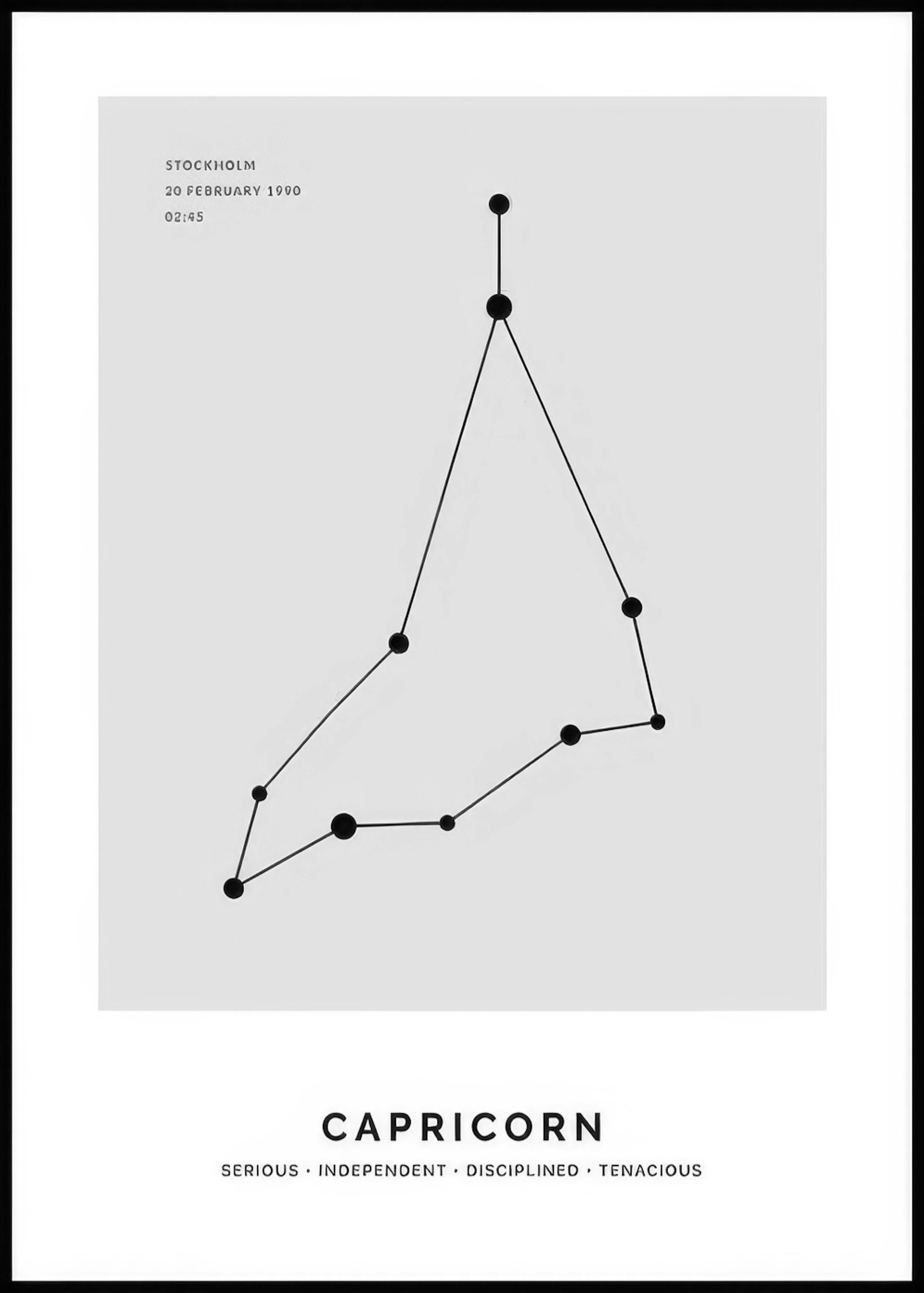 Konstellation Grau Steinbock Personalisiert Poster 0