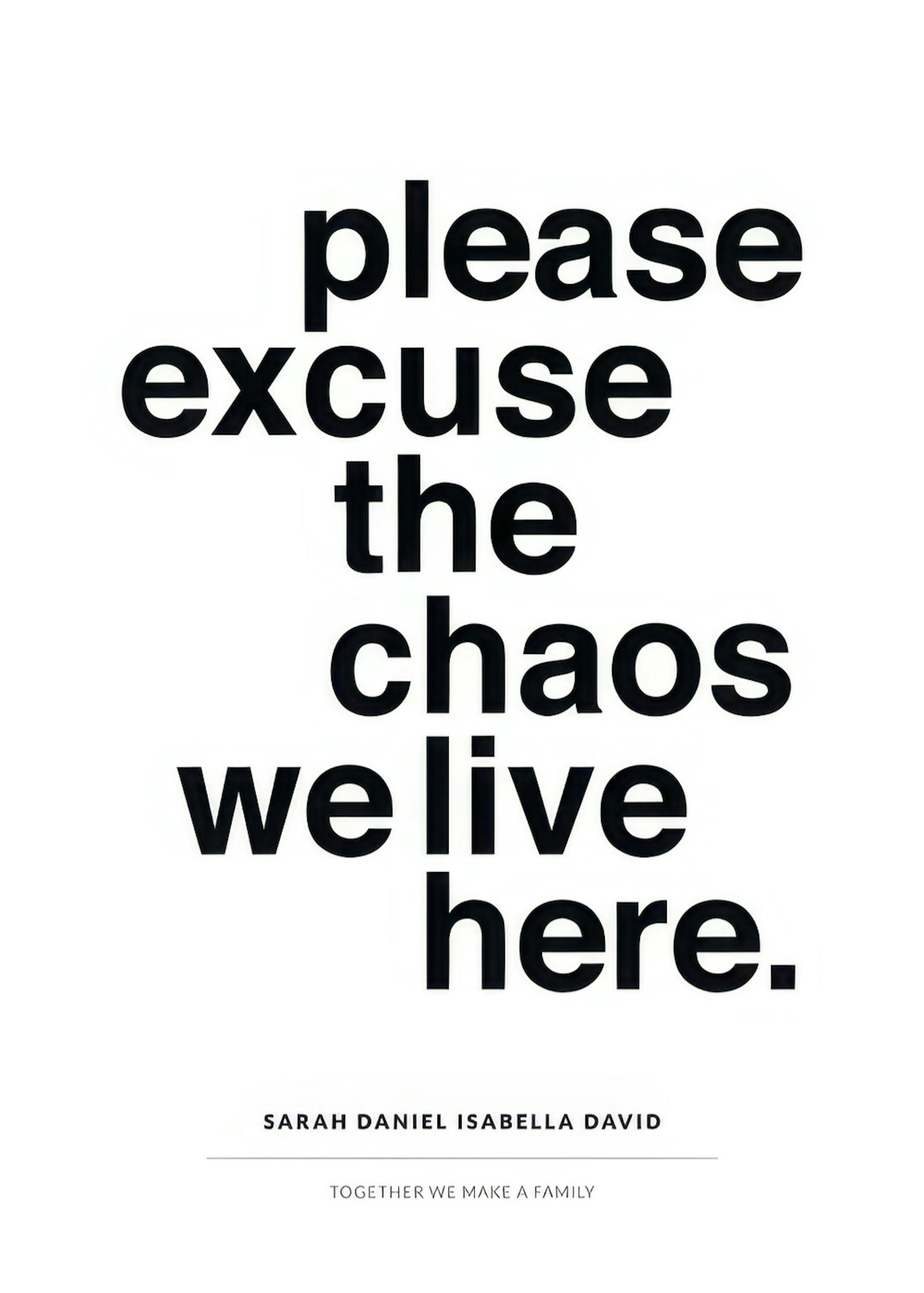 Excuse the Chaos Osobní Plakát 0