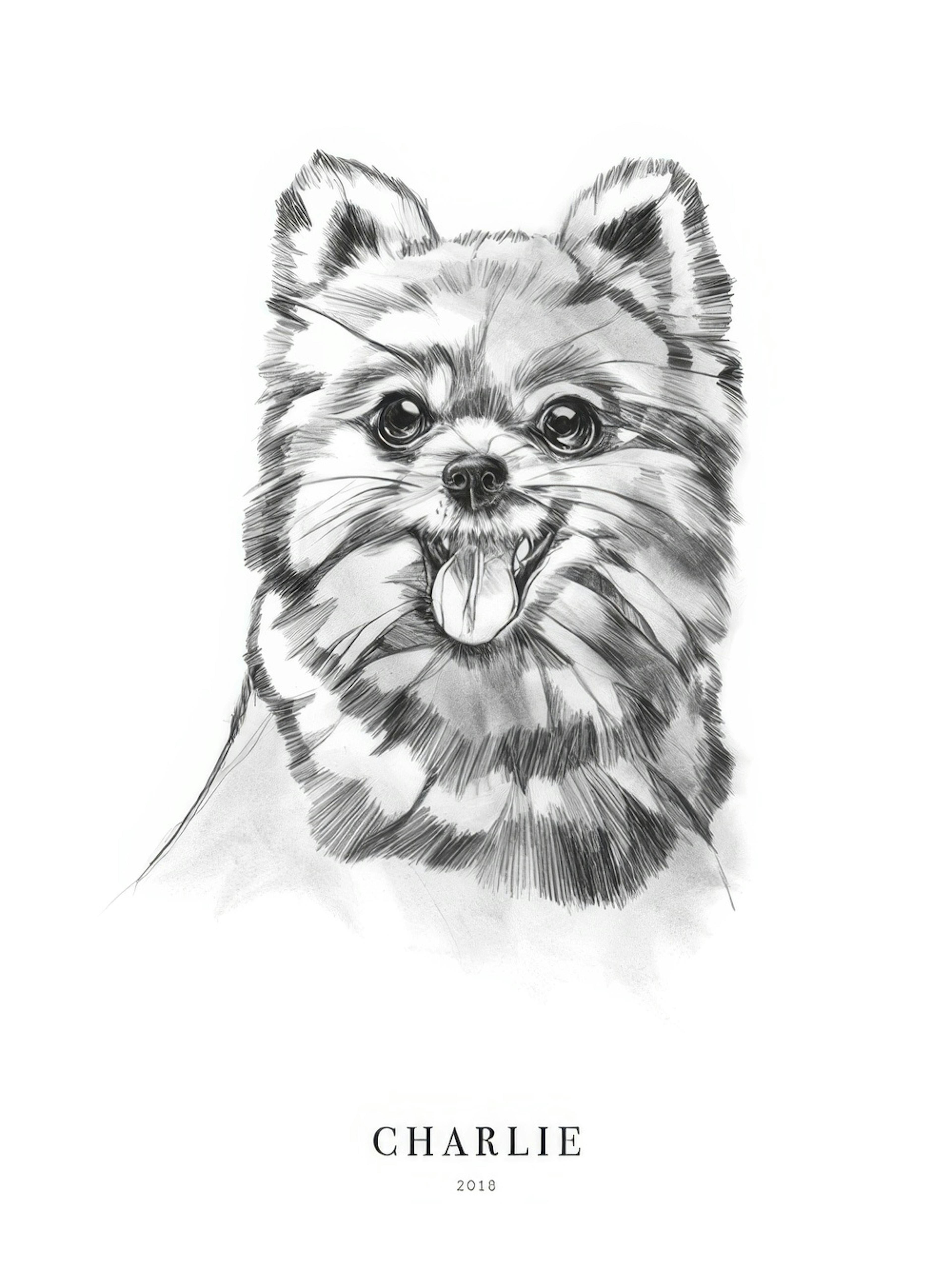 Pomeranian Hund Personalisiert Poster thumbnail