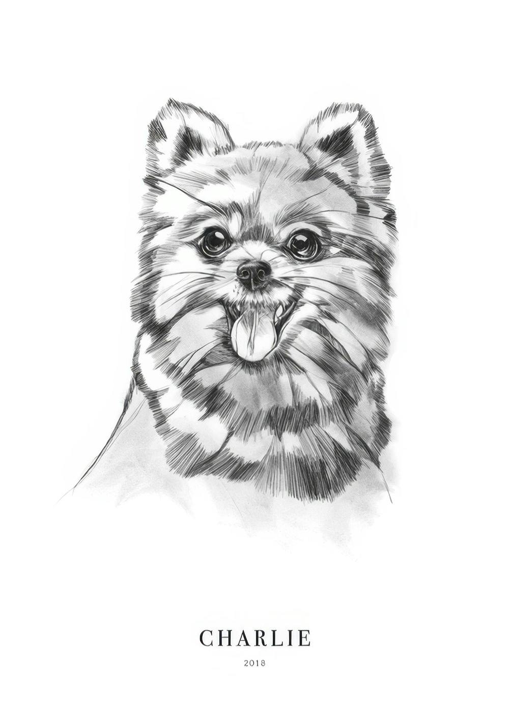 Póster personalizado con dibujo de un perro Pomerania sonriente en escala de grises y texto Charlie 2018 debajo.