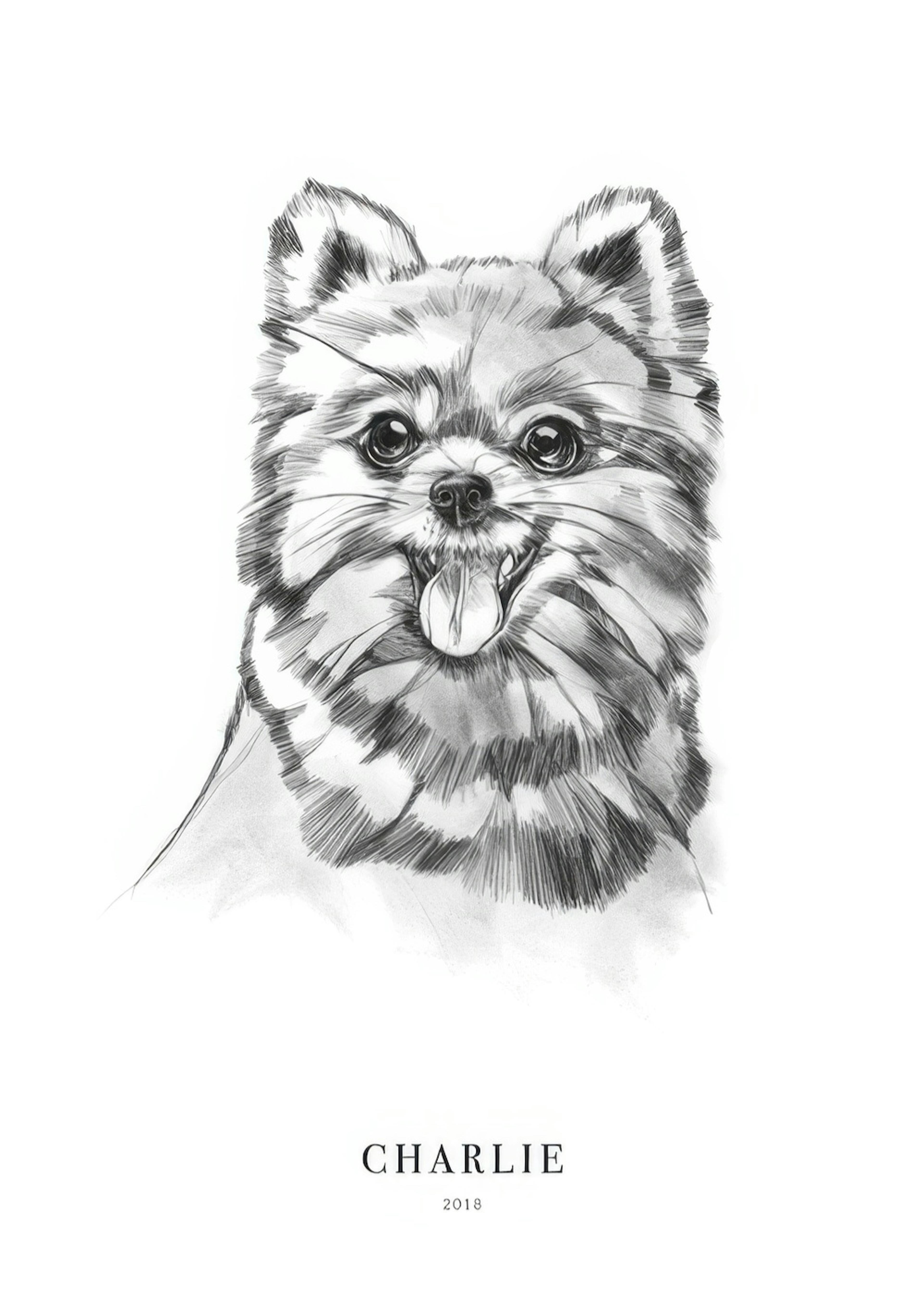 Pomeranian Dog Personal Poster 0