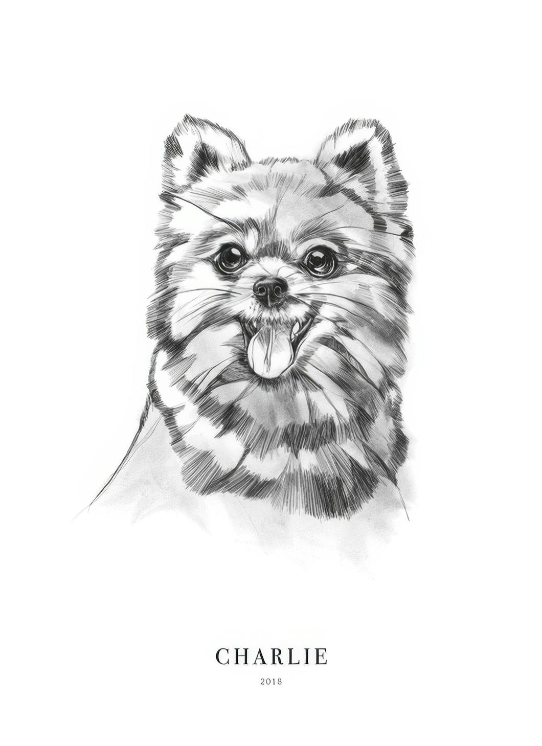 Chien Pomeranian Poster Personnalisé (50x70 cm) - Poster Store
