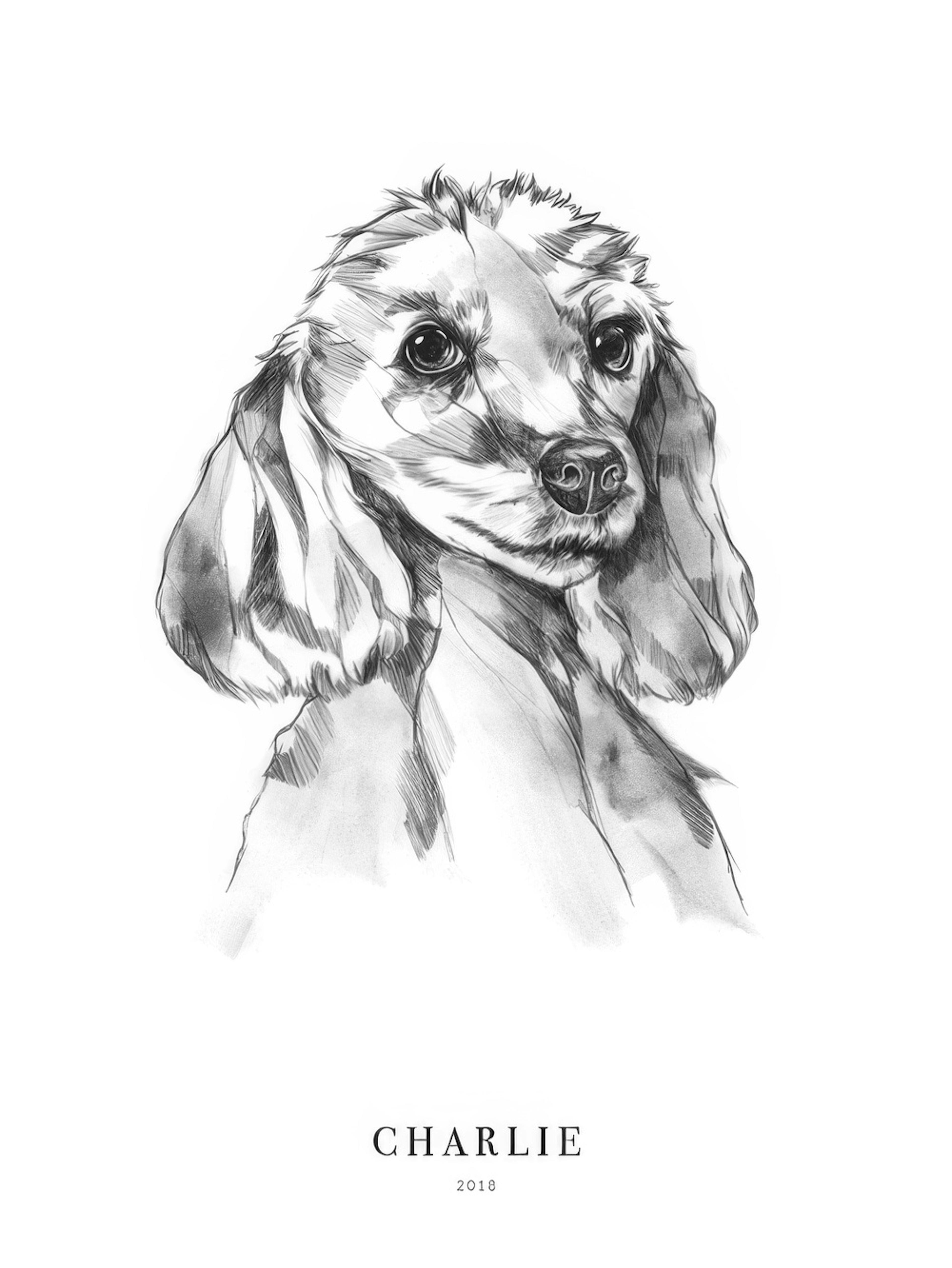 Poodle Dog Personal Poster thumbnail