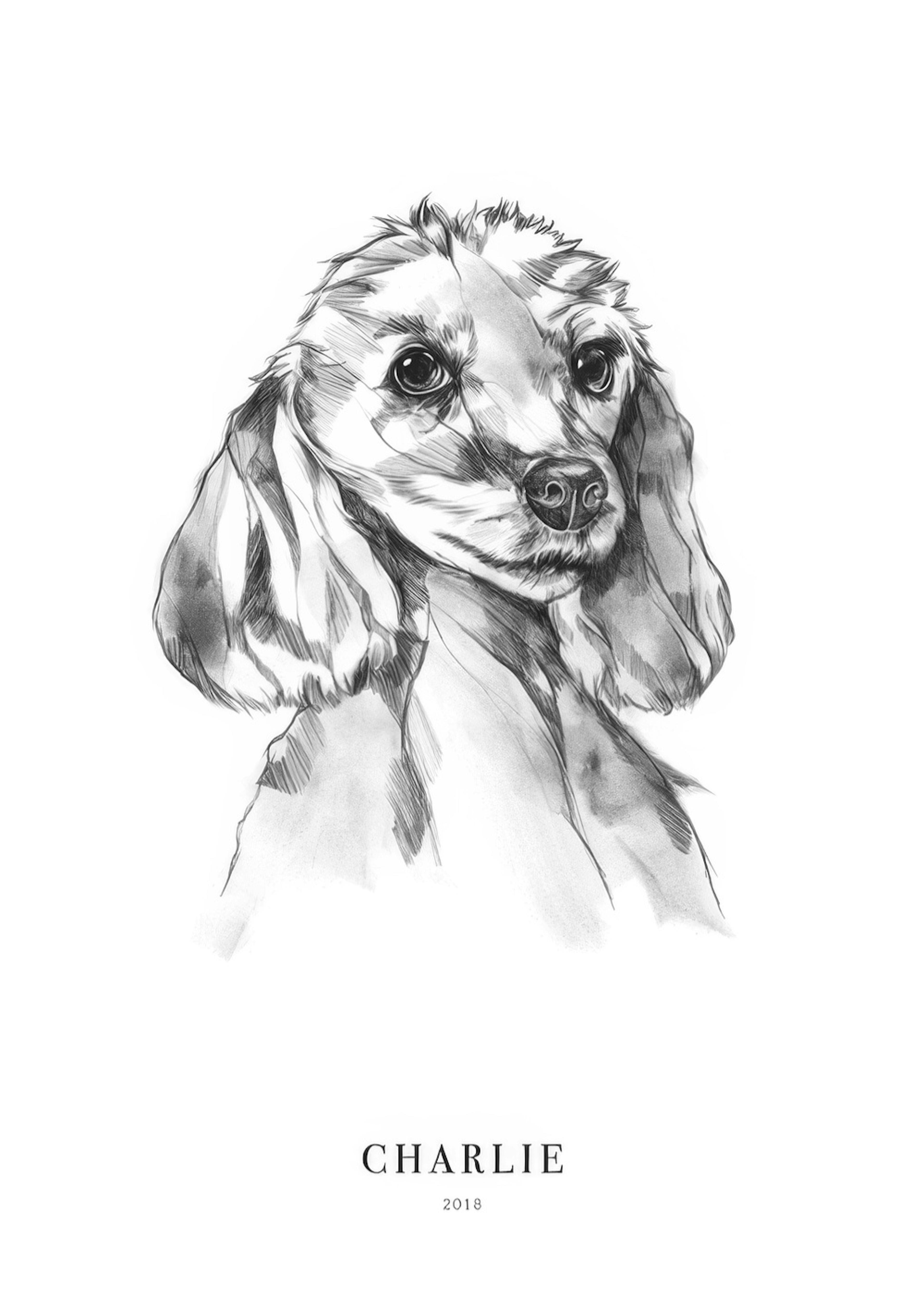 Poodle Dog Personal Poster 0