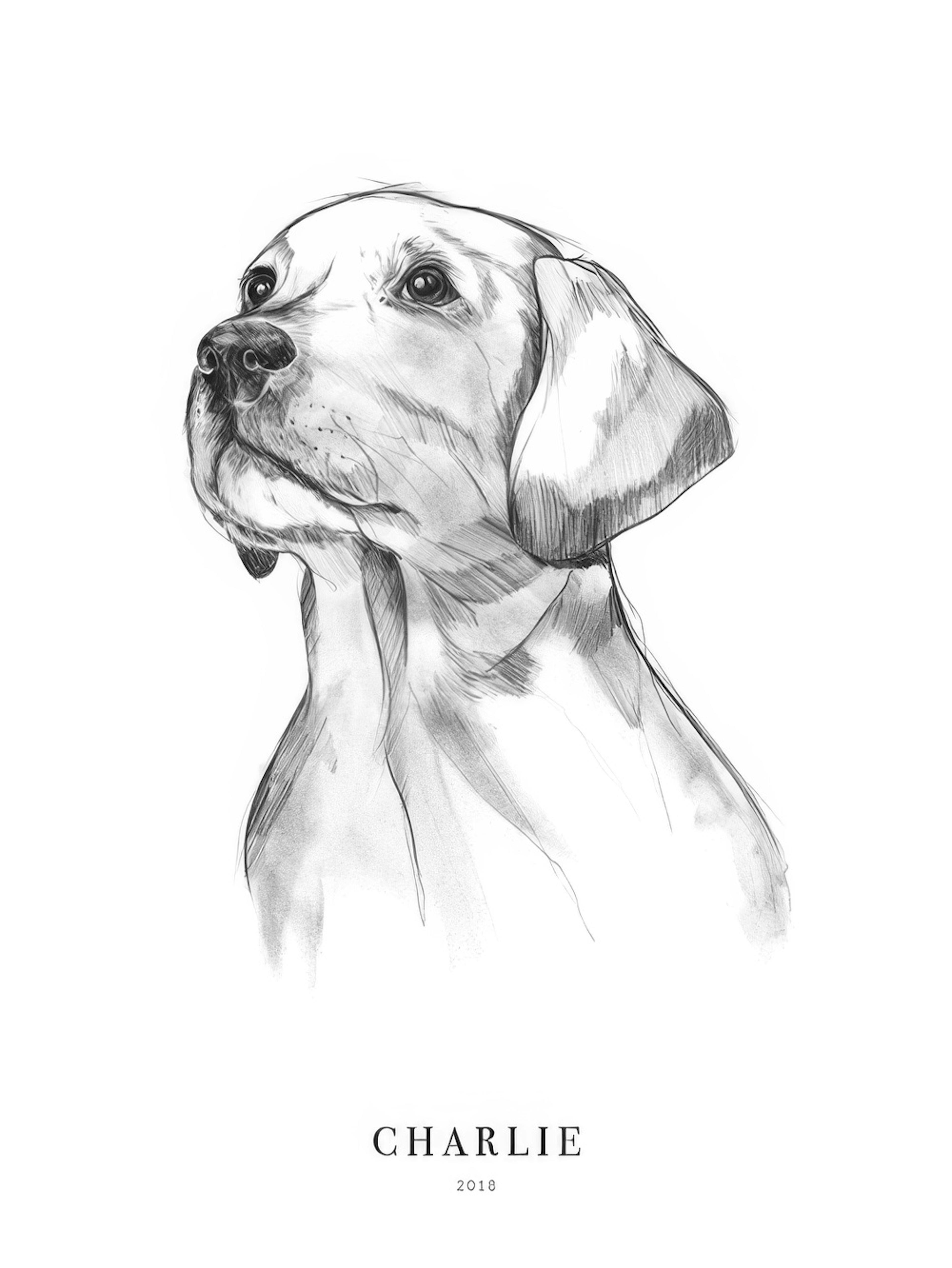 Chien Retriever Poster Personnalisé thumbnail