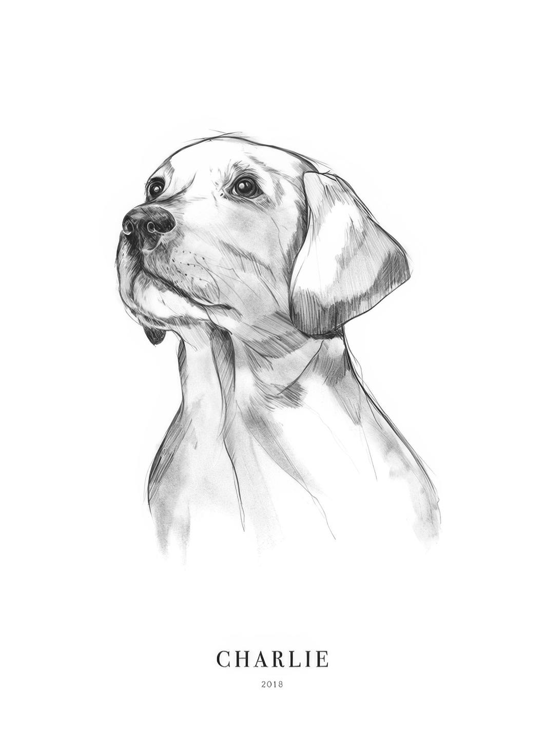 Retriever Dog persoonlijke poster (50x70 cm) - Poster Store