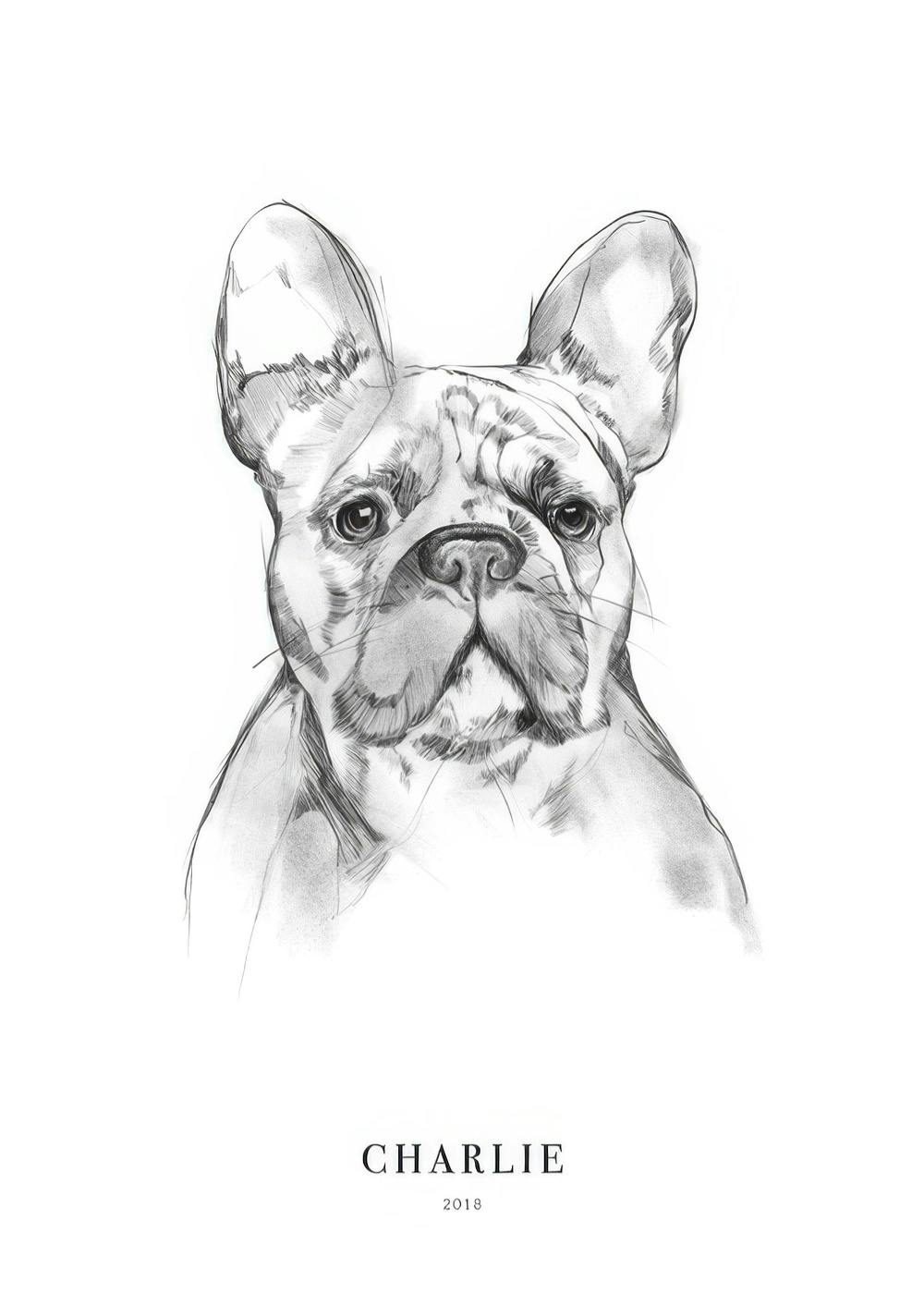Póster personalizado con el retrato a lápiz de un bulldog francés, con el texto CHARLIE 2018 debajo.
