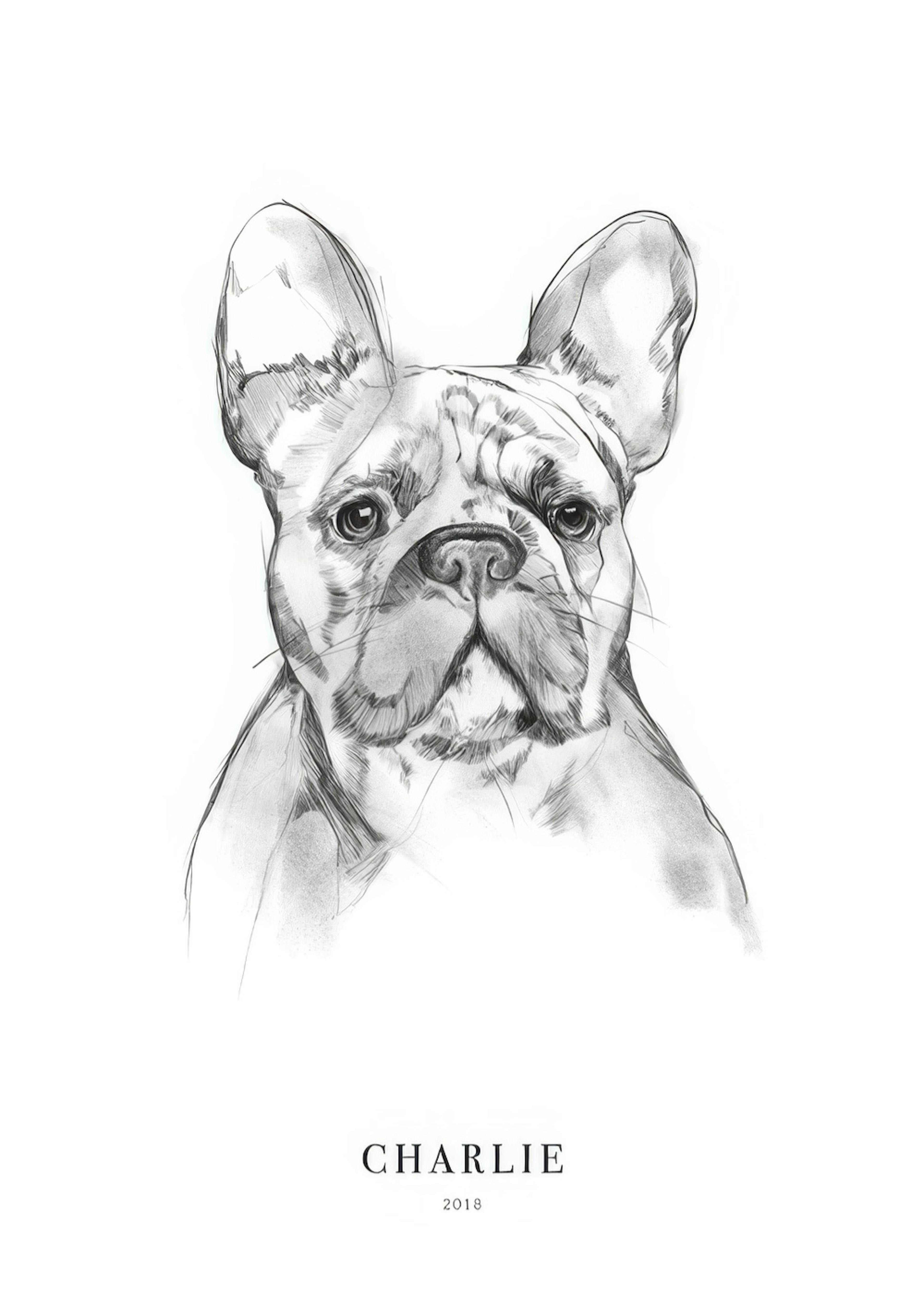 French Bulldog Personal Poster 0
