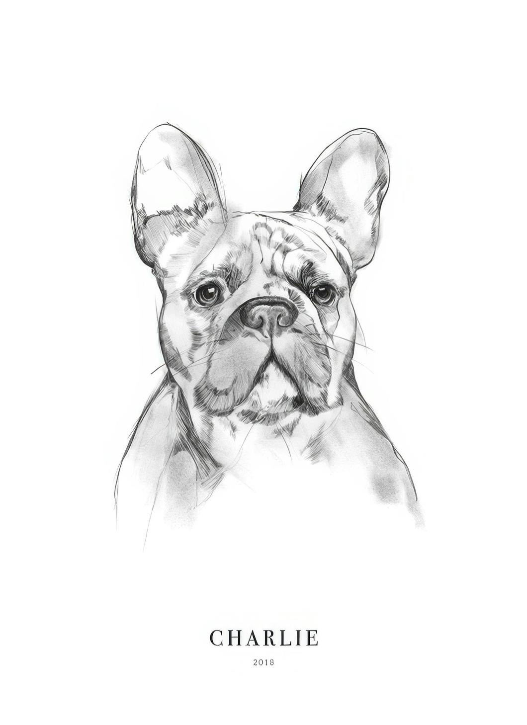 Fransk bulldog Personlig Poster (30x40 cm) - Poster Store