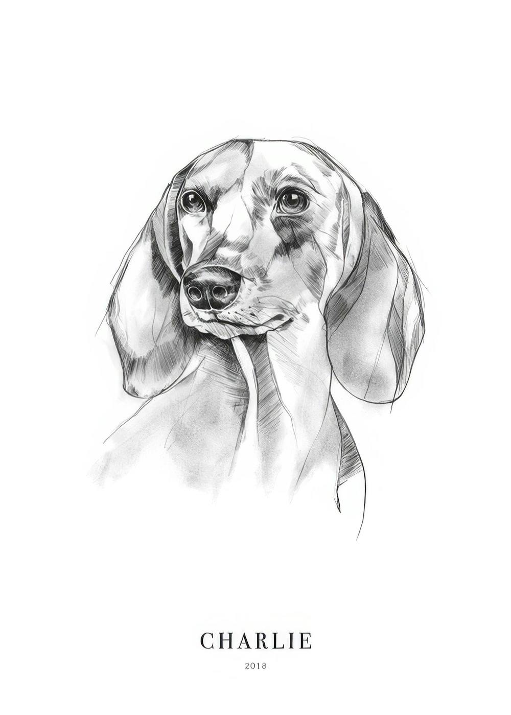 Póster personalizado con el retrato de un perro salchicha en dibujo a lápiz, con el nombre Charlie y el año 2018 debajo.