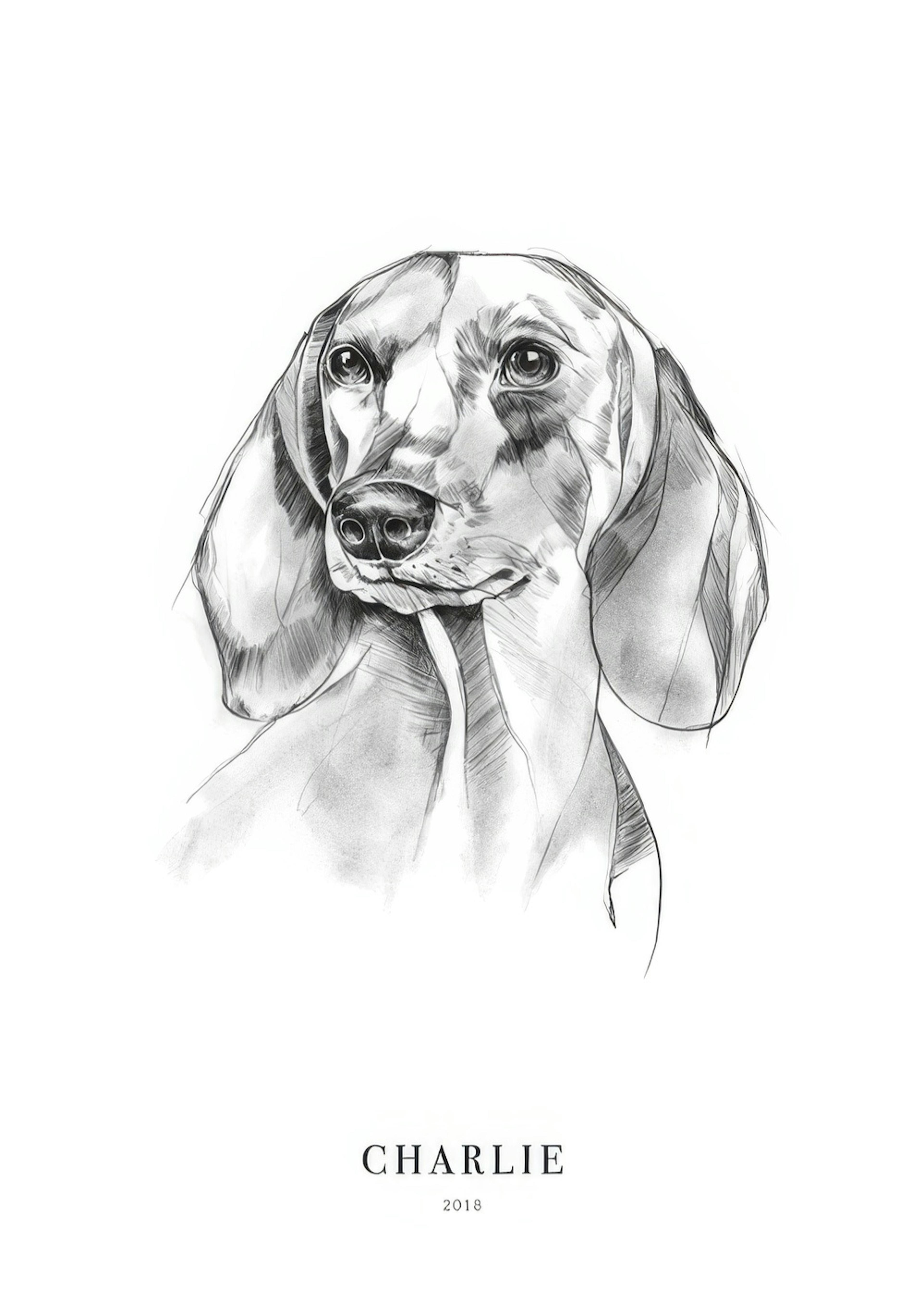 Dachshund Dog Personal Poster 0
