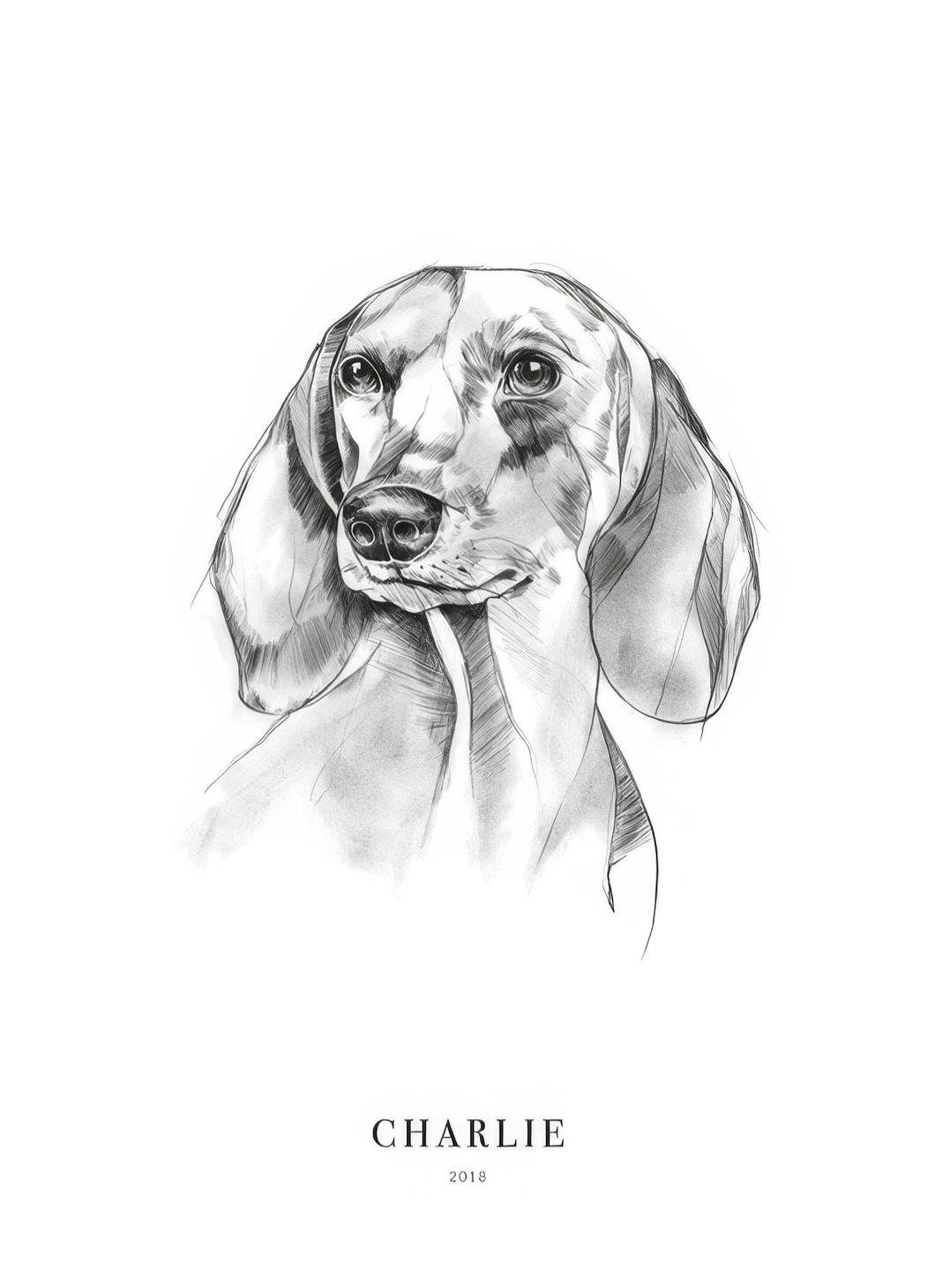 Dachshund personlig plakat (50x70 cm) - Poster Store