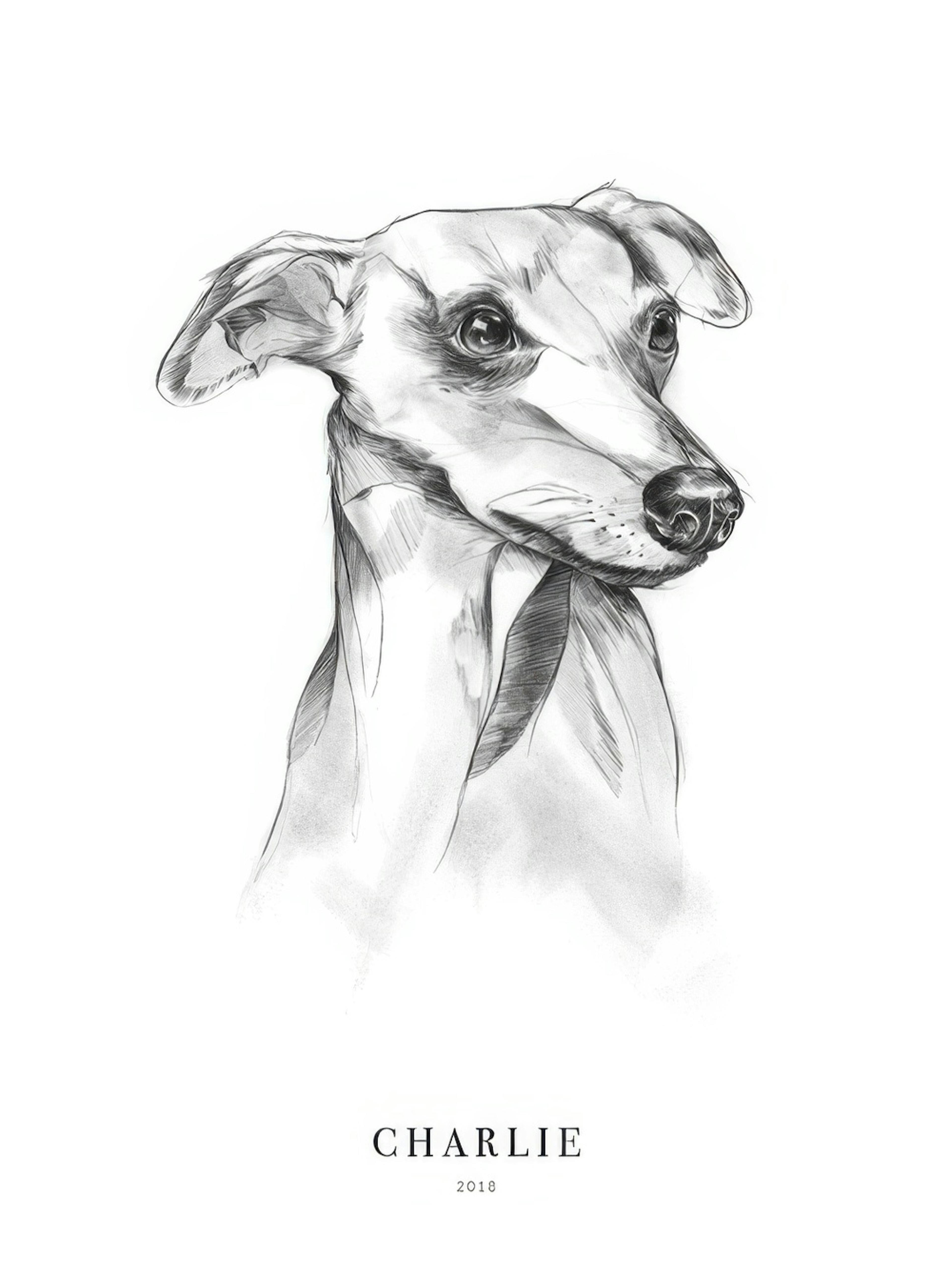 Whippet Dog persoonlijke poster thumbnail