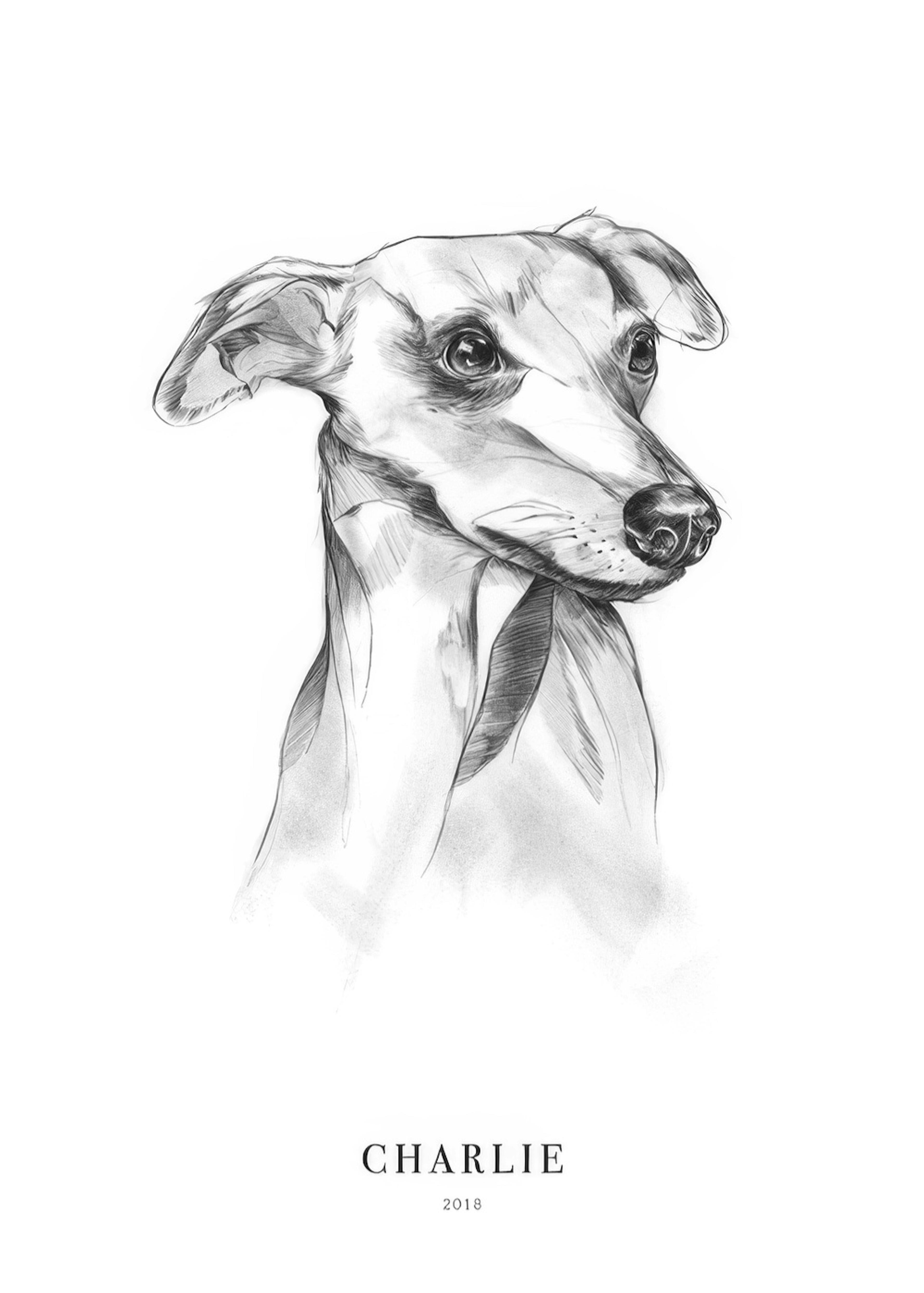 Whippet Dog Personal Poster 0