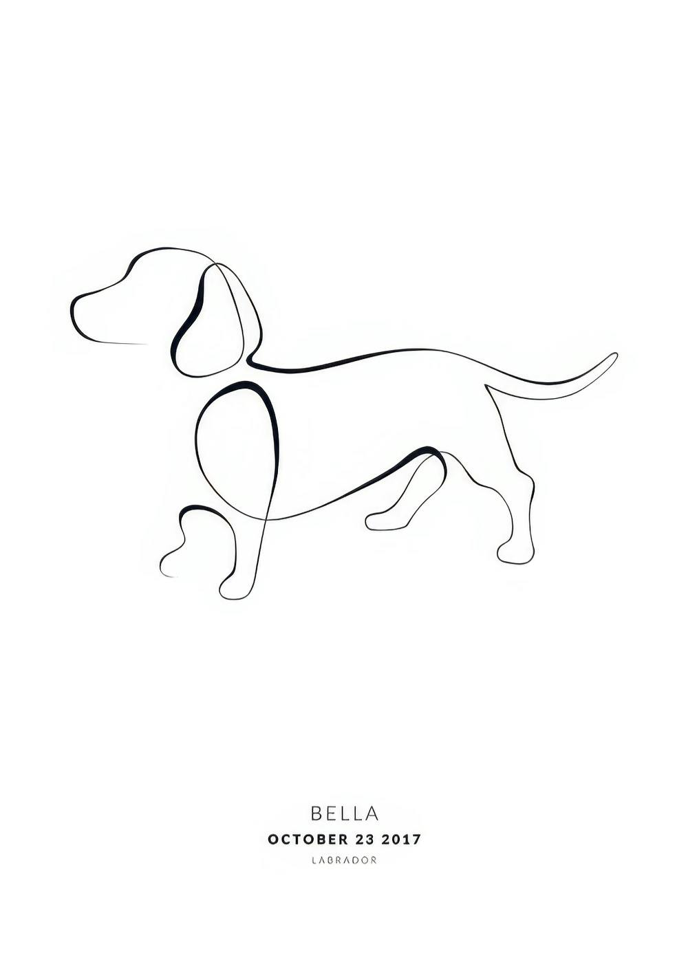 Poster personnalisé avec un dessin minimaliste de chien noir sur fond blanc, et le nom Bella avec une date et Labrador.